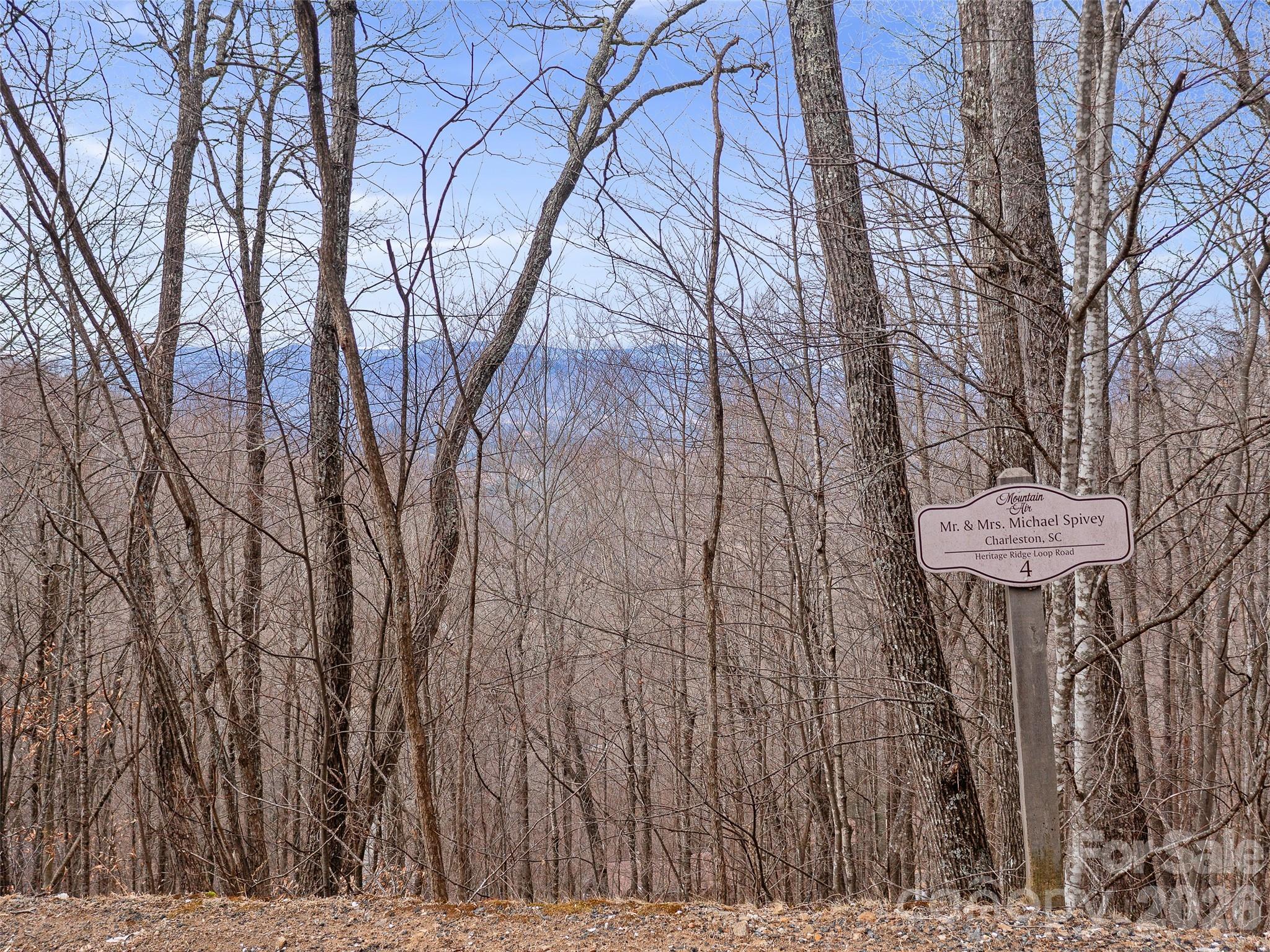 View - Lot 4 Heritage Ridge Loop, Burnsville