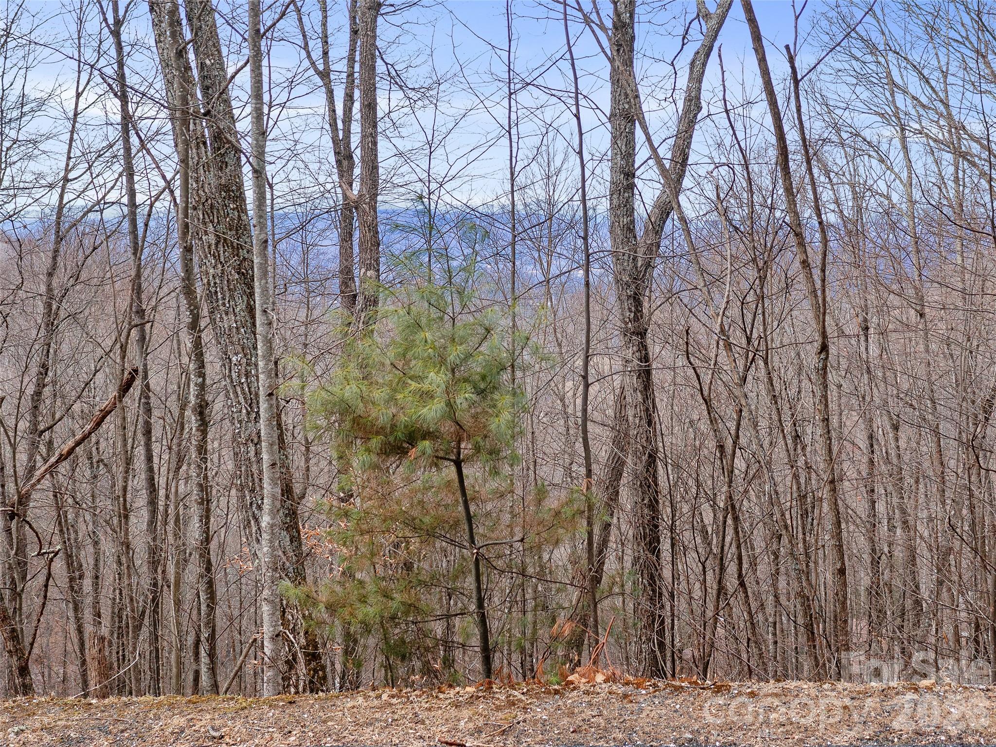 View - Lot 4 Heritage Ridge Loop, Burnsville