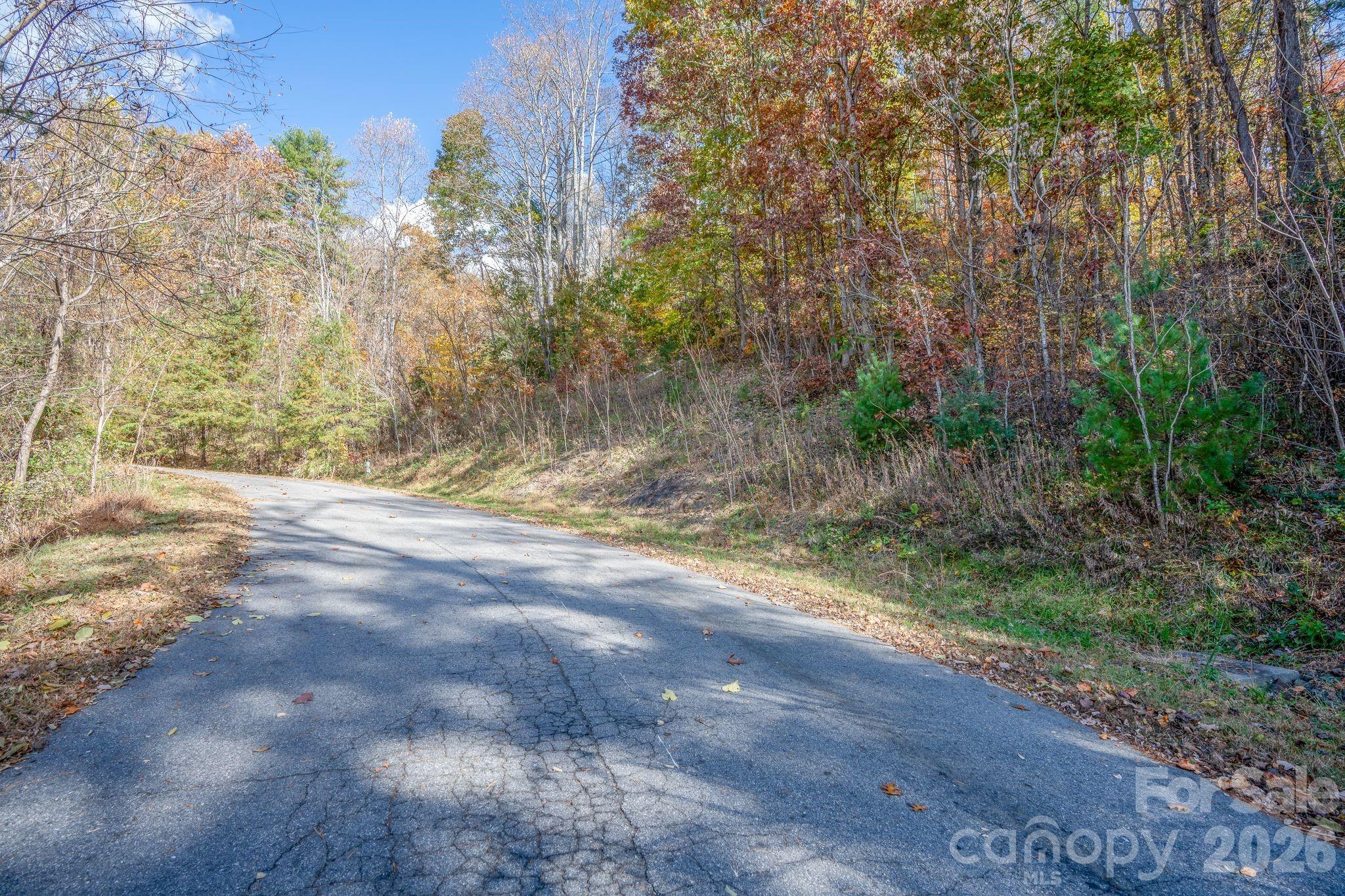 Lot 66 - Street view - Easy Build home site area - 66 HawTree Court, Weaverville
