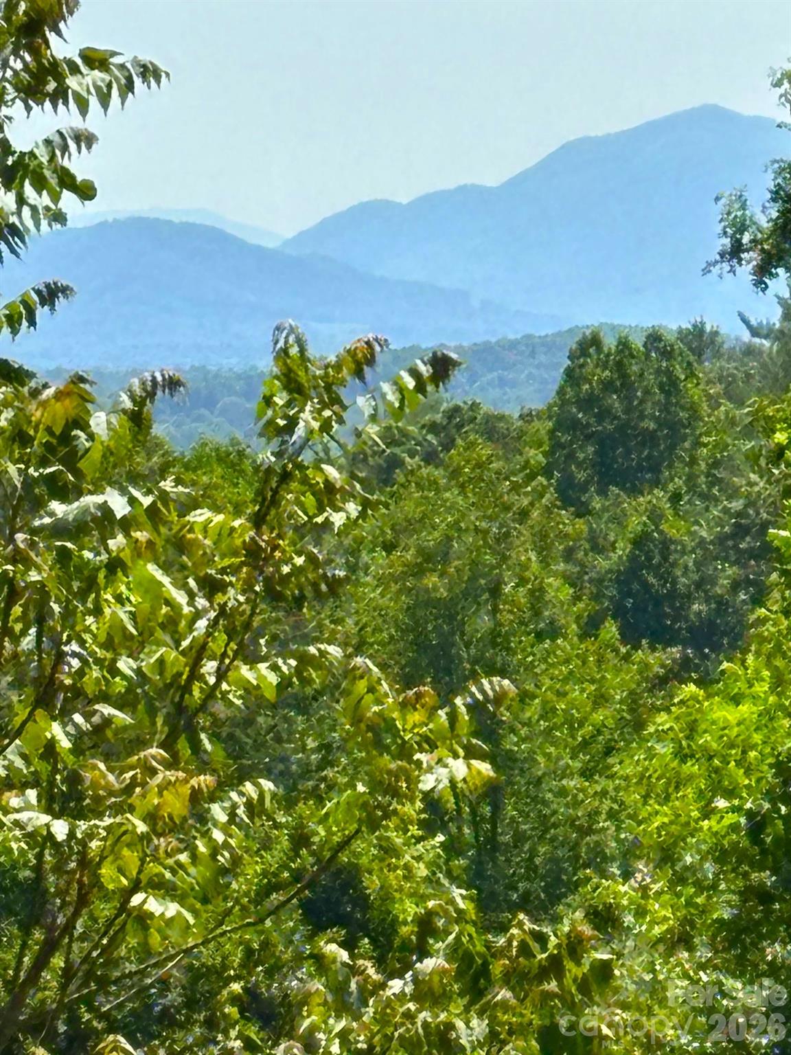 66 Hawtree May 2024 - 66 HawTree Court, Weaverville