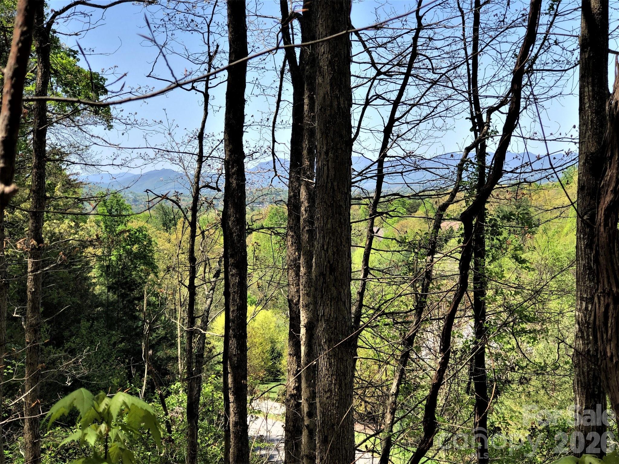 View from potential home site on lot - Trees would be removed out of this view once lot is cleared. - 66 HawTree Court, Weaverville