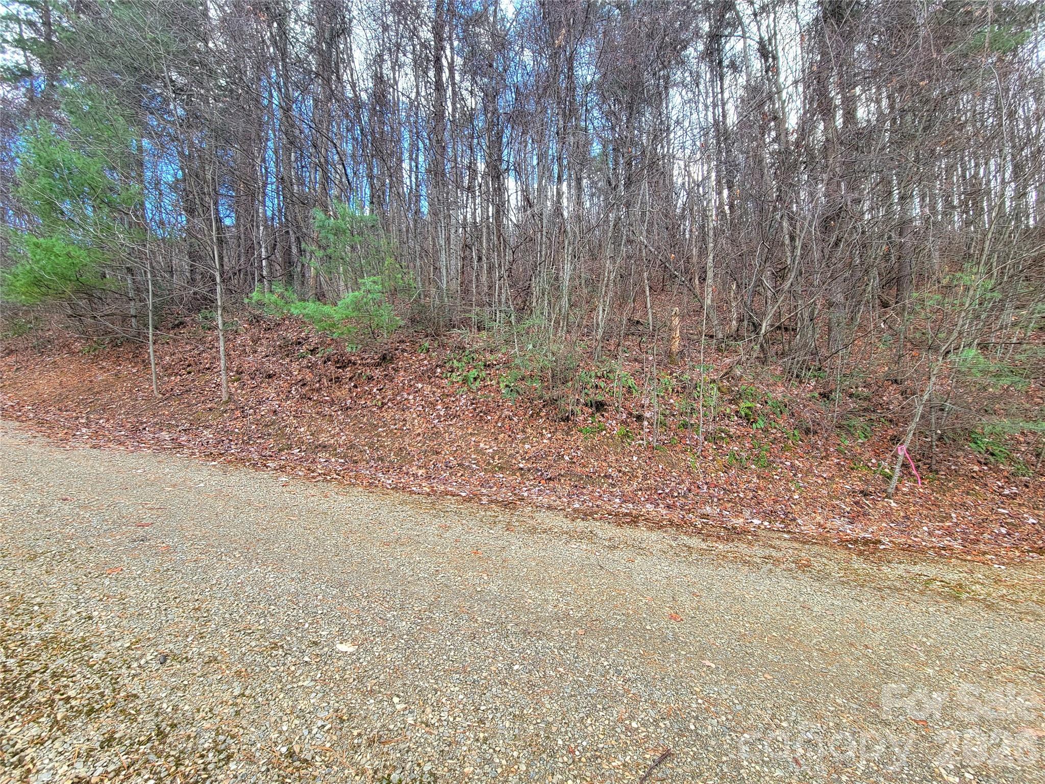 Lot at 125 Lasso Lane, Waynesville, photo 2 of 19