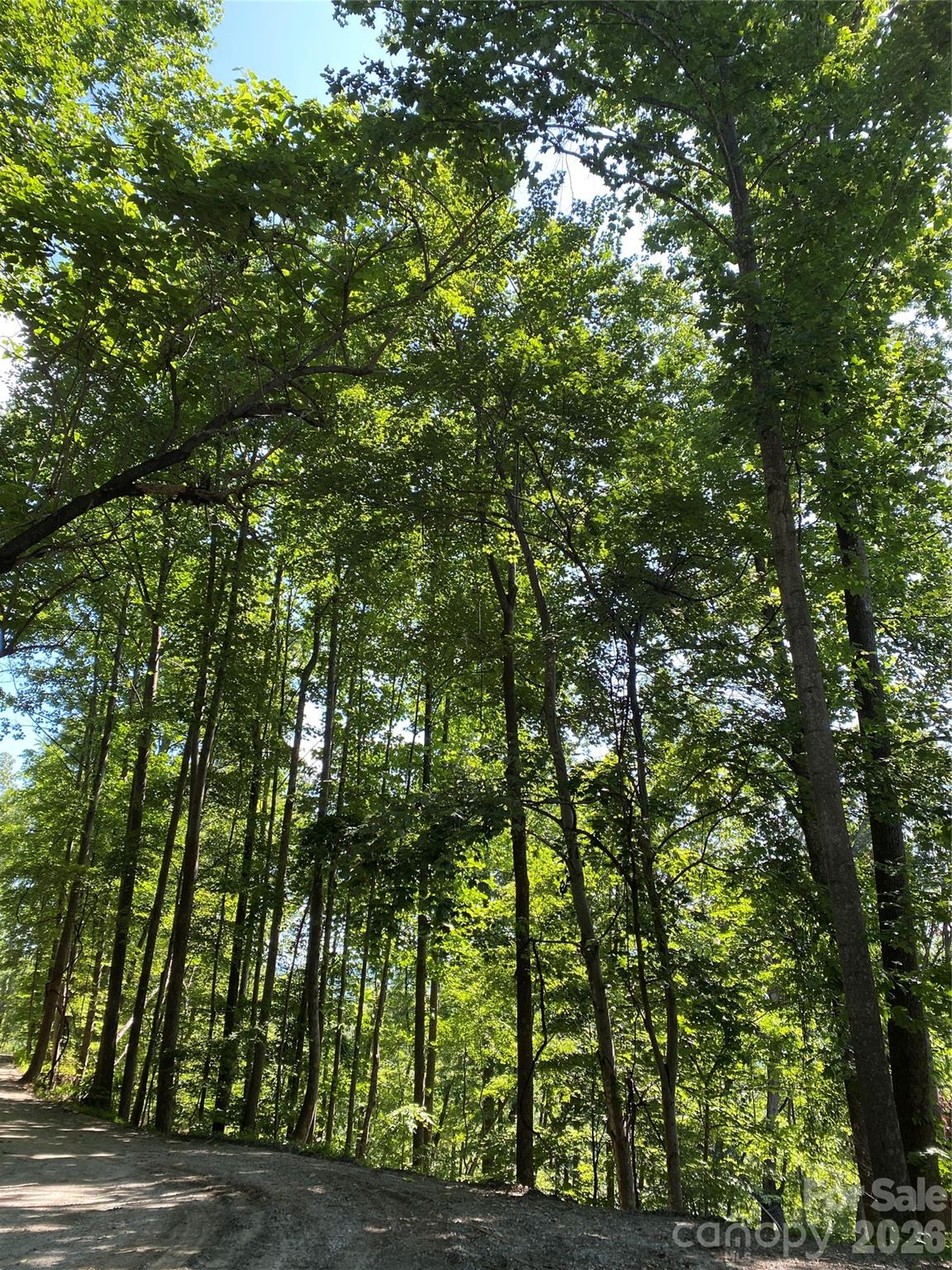 Wooded lot - 336 Willow Top Lane, Lake Lure