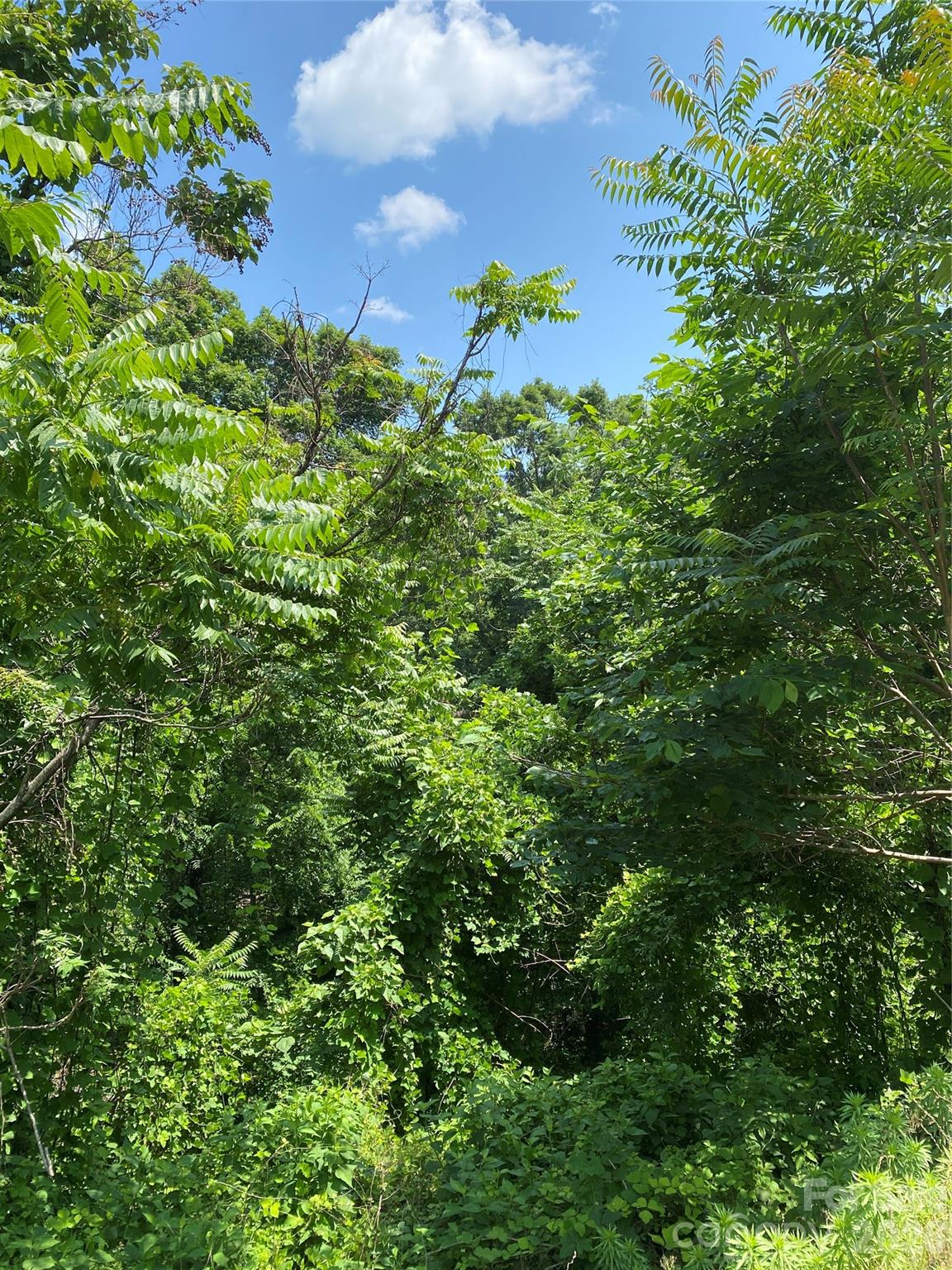 Lot at 336 Willow Top Lane, Lake Lure, photo 3 of 23