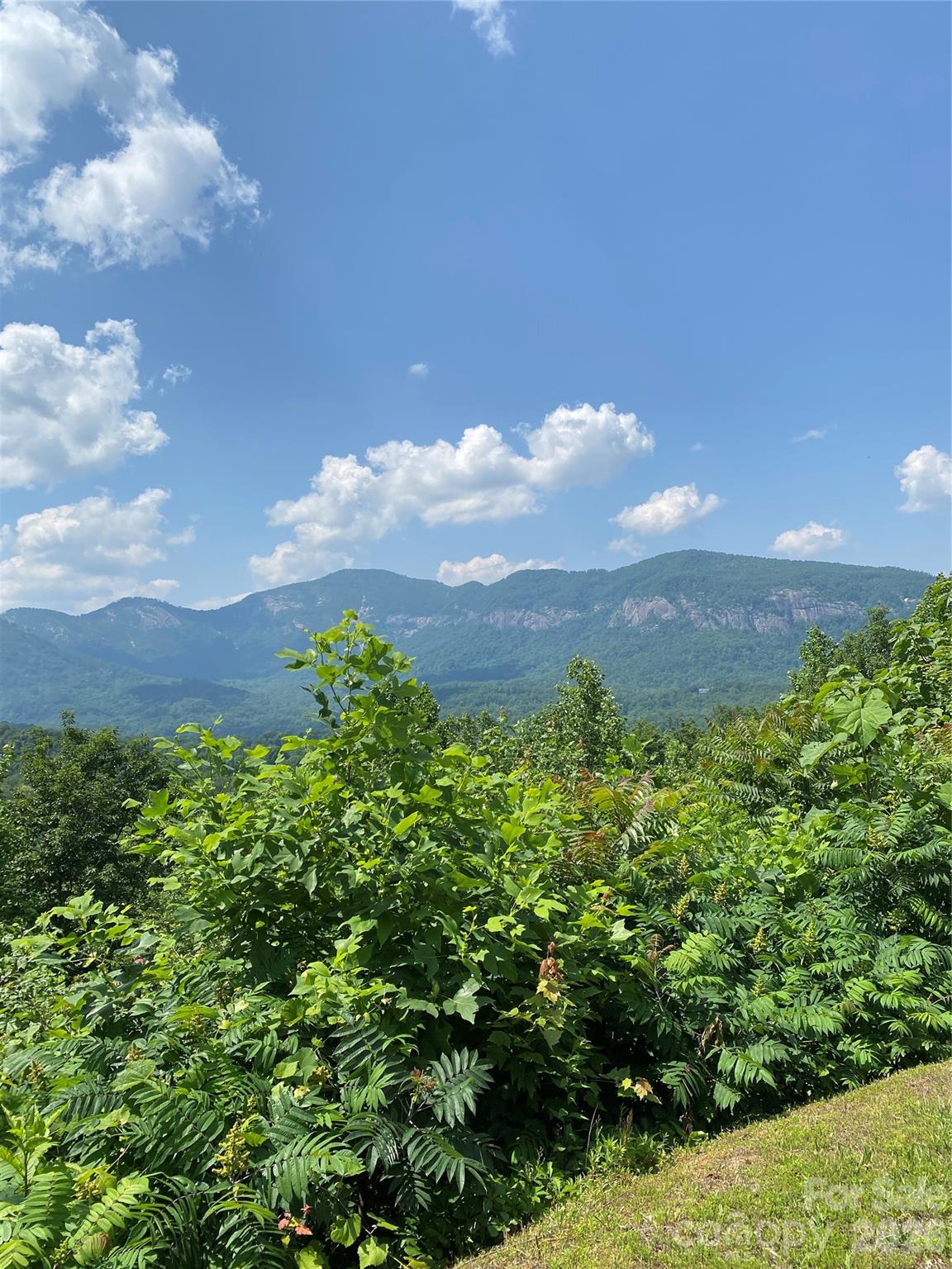 Lot at 336 Willow Top Lane, Lake Lure, photo 5 of 23