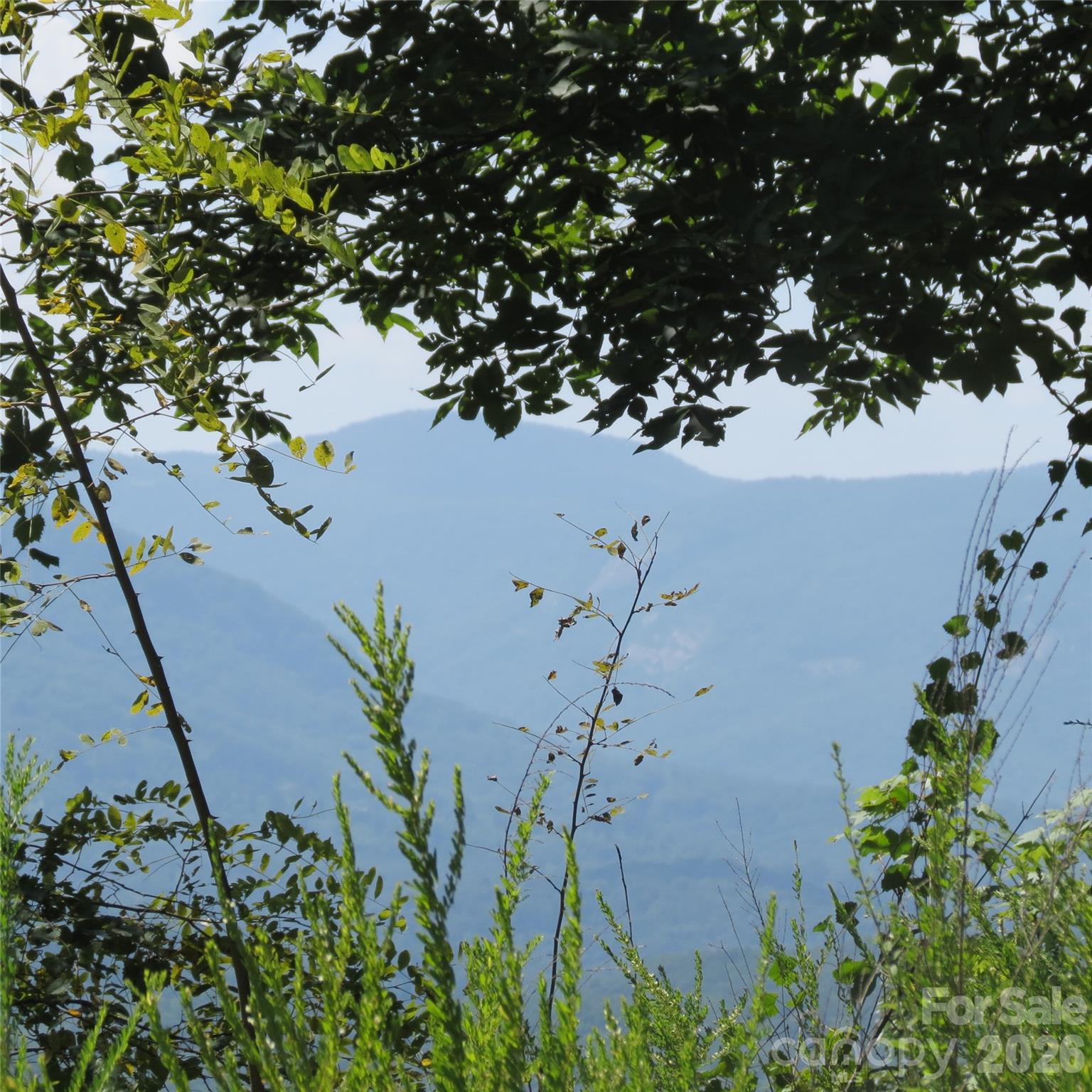 Lot at 336 Willow Top Lane, Lake Lure, photo 17 of 23