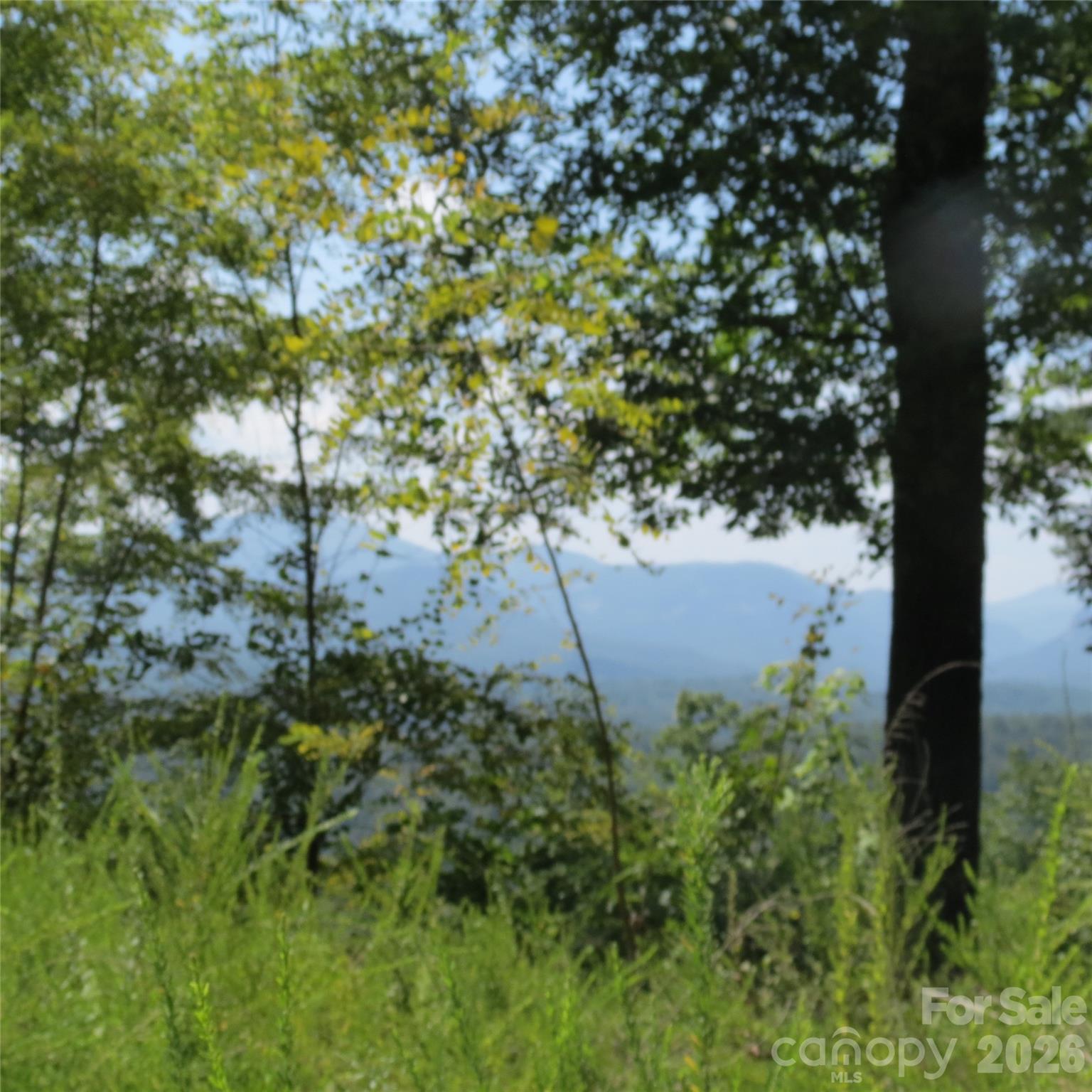 Lot at 336 Willow Top Lane, Lake Lure, photo 18 of 23