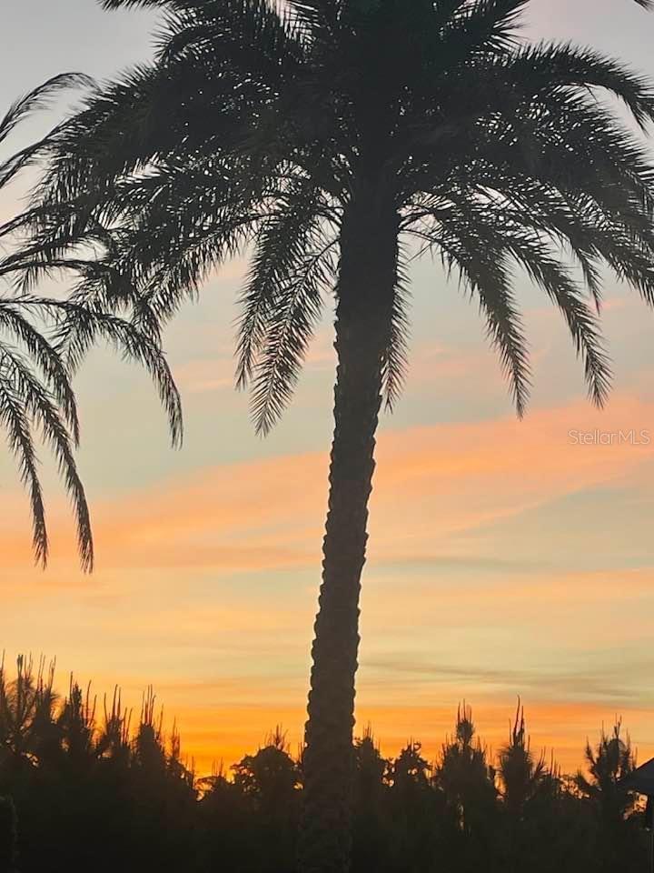 Beautiful sunsets - 411 ST GEORGE DR, DAVENPORT