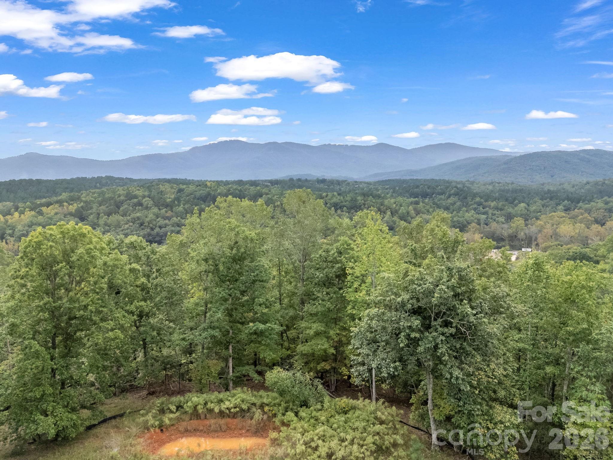 Canopy View of Primary Build Site - TBD N Highland Farms Road, Mill Spring