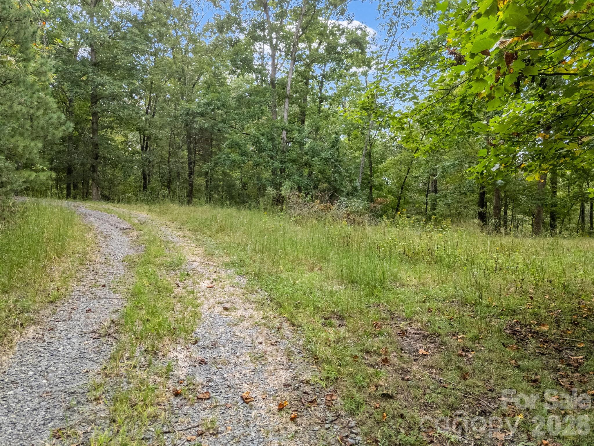 Established Gravel Driveway - TBD N Highland Farms Road, Mill Spring