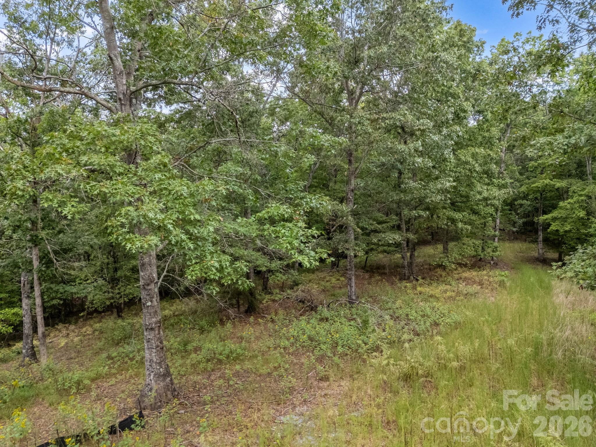 Gentle Topography - TBD N Highland Farms Road, Mill Spring