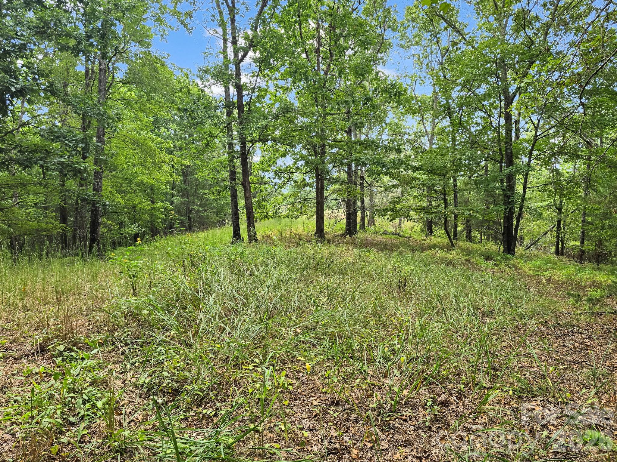 Outstanding Acreage - TBD N Highland Farms Road, Mill Spring