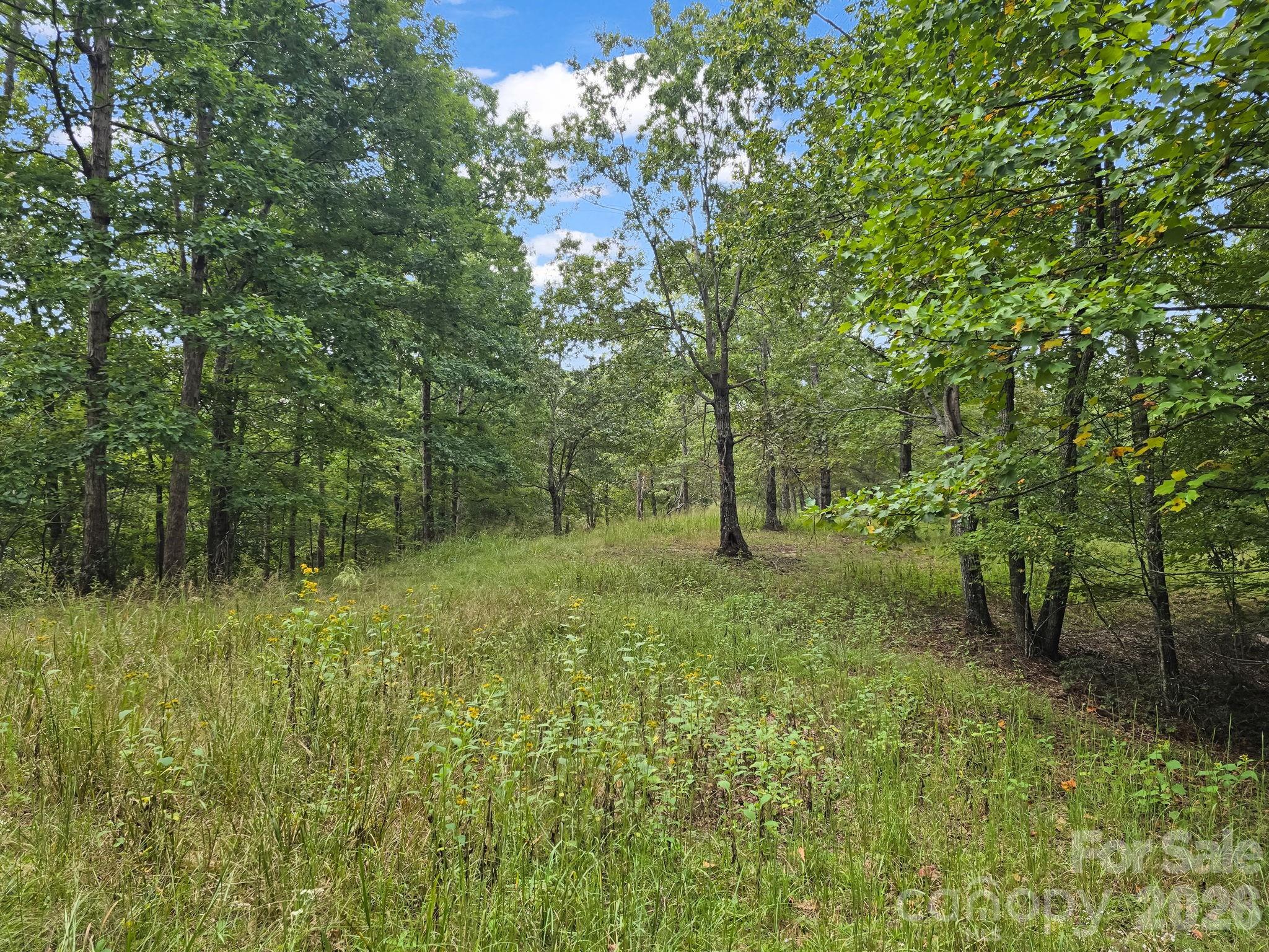 Perfect +/-12.63 Acre Tract - TBD N Highland Farms Road, Mill Spring