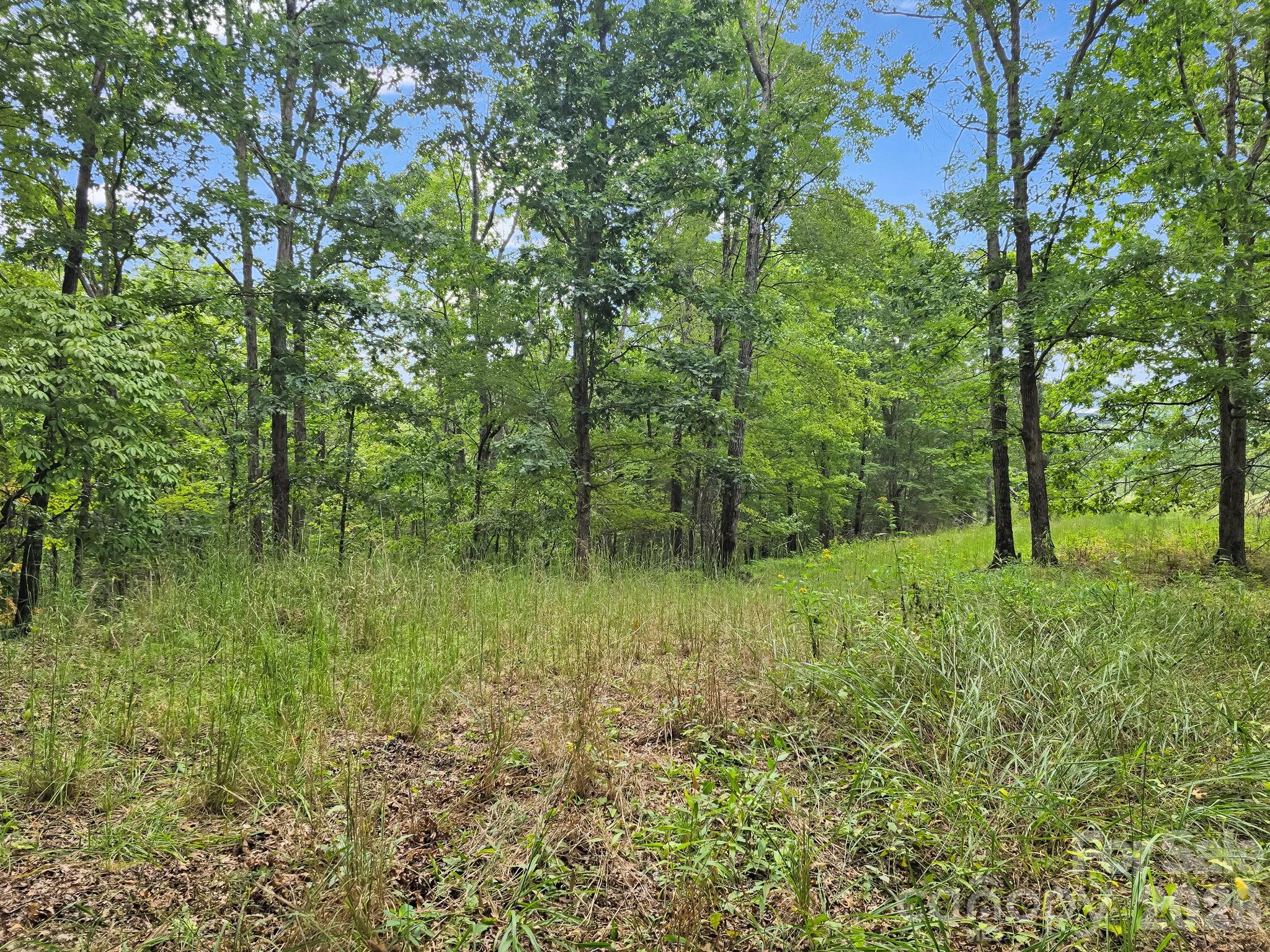Lower Vantage Point - TBD N Highland Farms Road, Mill Spring