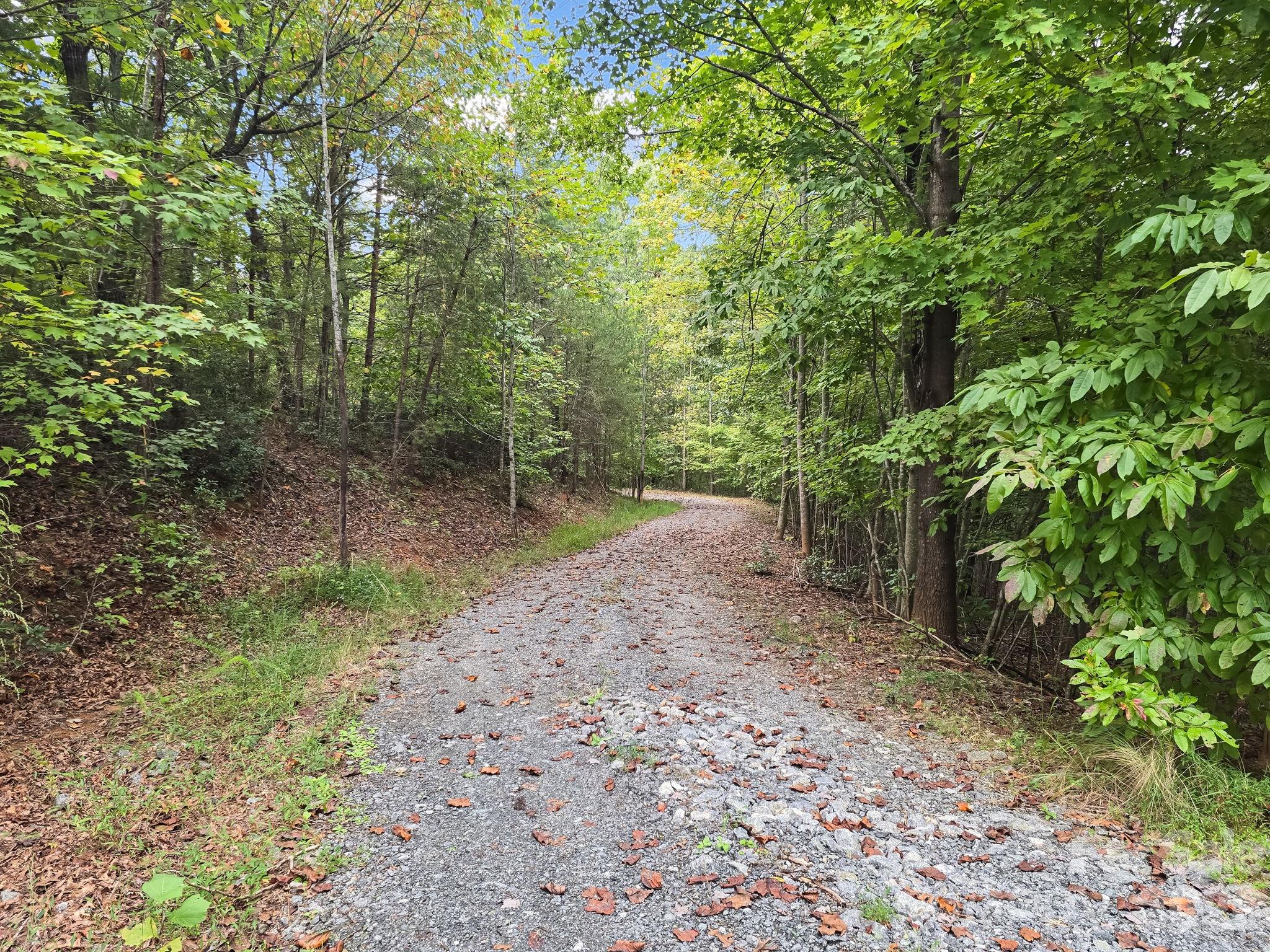 Driveway Angle 3 - TBD N Highland Farms Road, Mill Spring