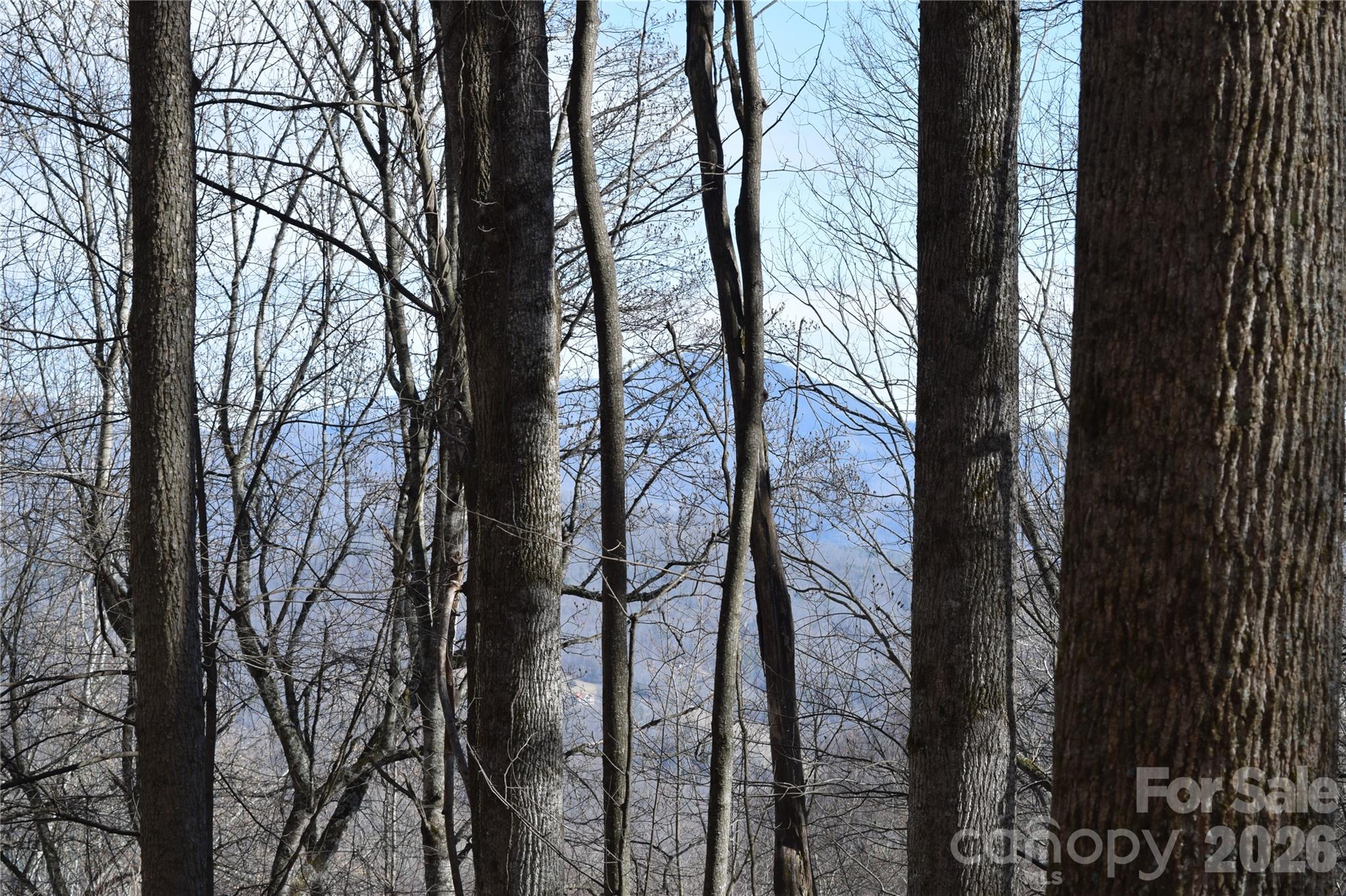 Facing north from Multiflora Way, possible mountain view - 417& 418 Multiflora Way, Waynesville