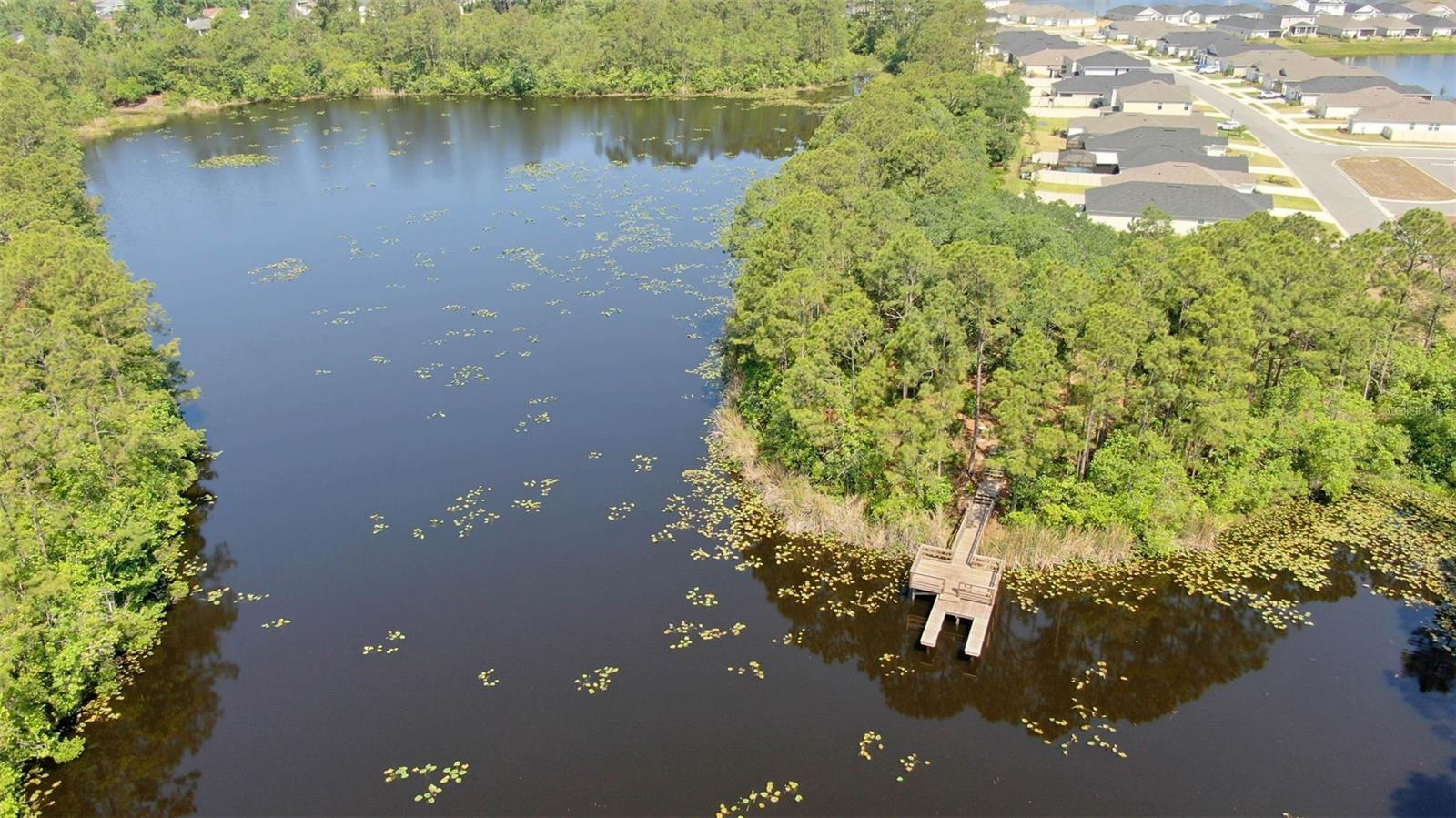 Single Family Residence at 43 WILLOW ST, PALM COAST, photo 49 of 53