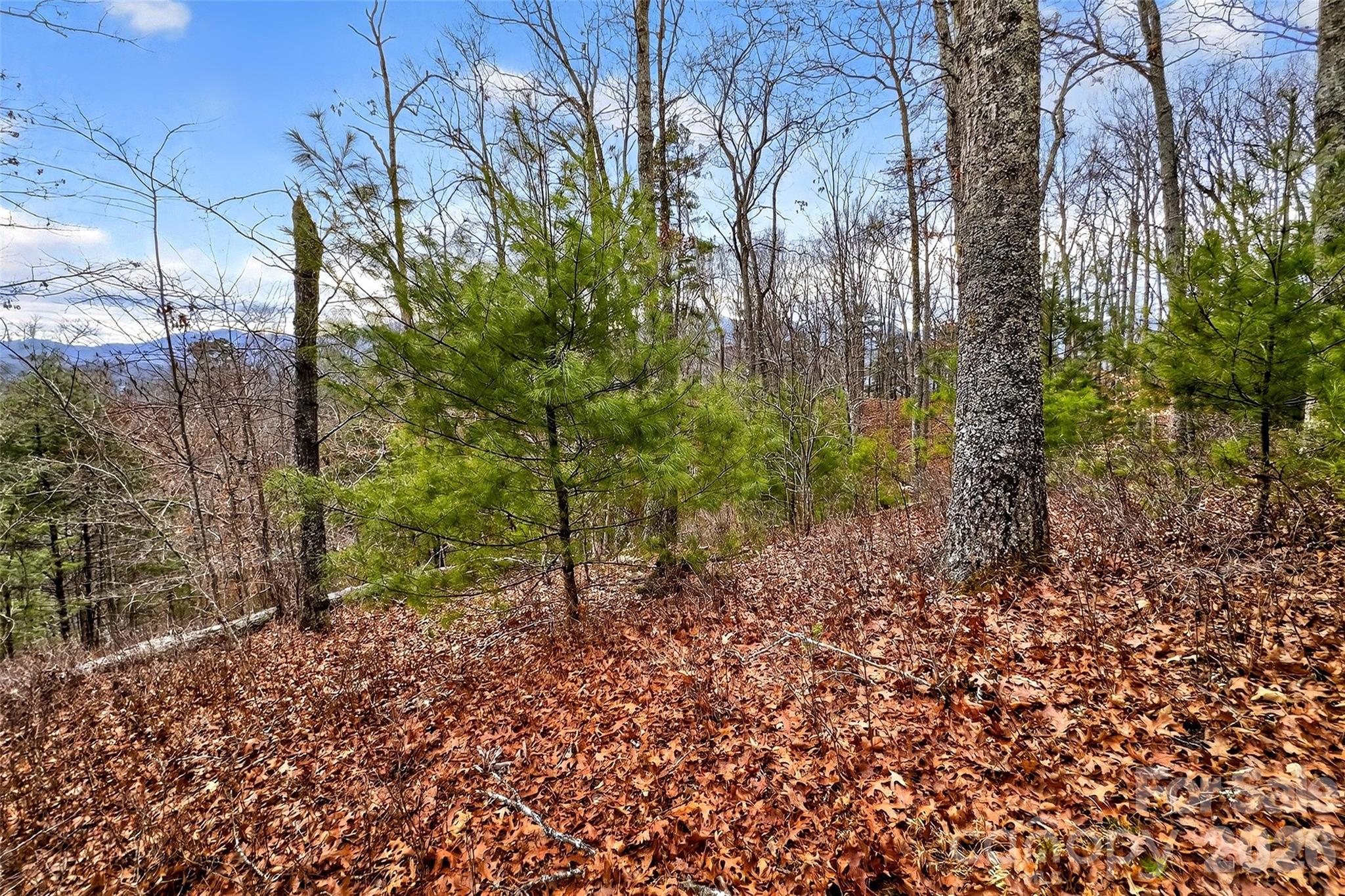 Lot at 149 Turkey Trot Trail, Marshall, photo 2 of 27