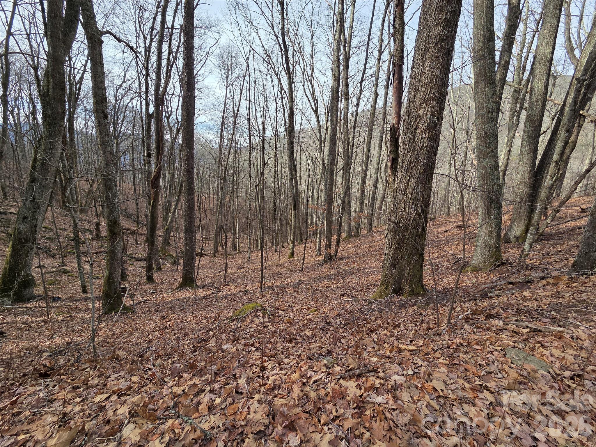 Lot at 180 Goat House Way, Maggie Valley, photo 2 of 17