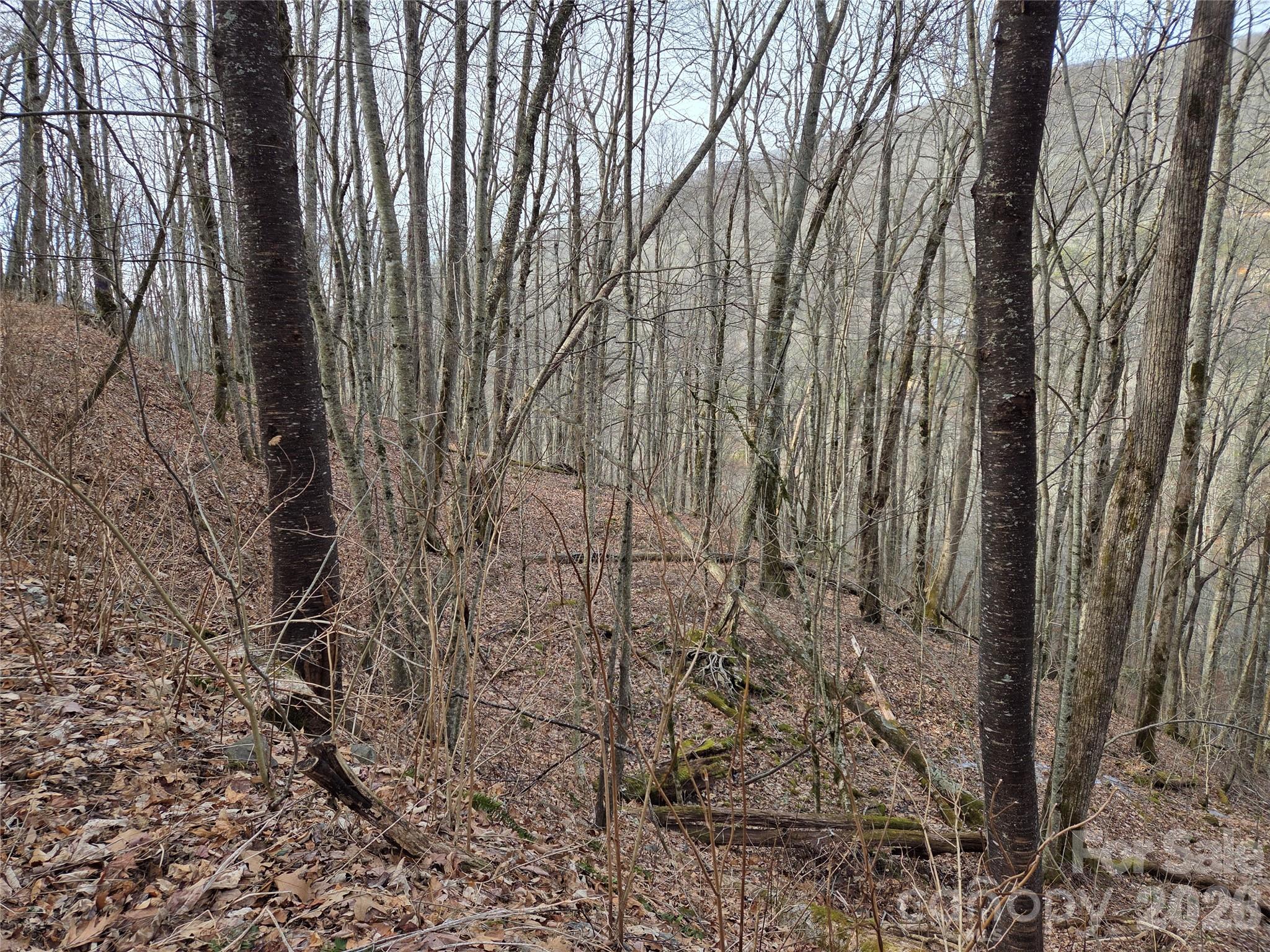 Lot at 180 Goat House Way, Maggie Valley, photo 4 of 17