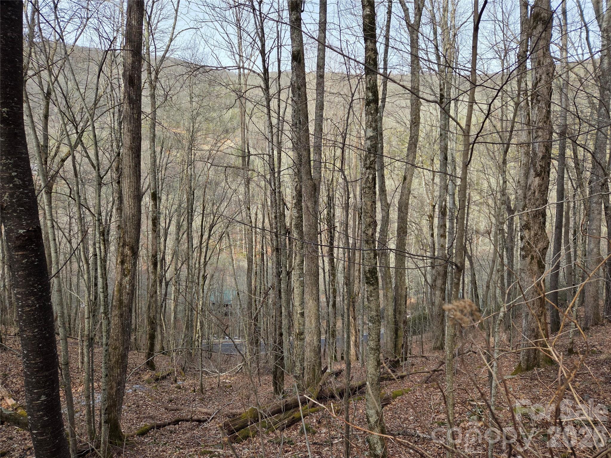 Lot at 180 Goat House Way, Maggie Valley, photo 5 of 17