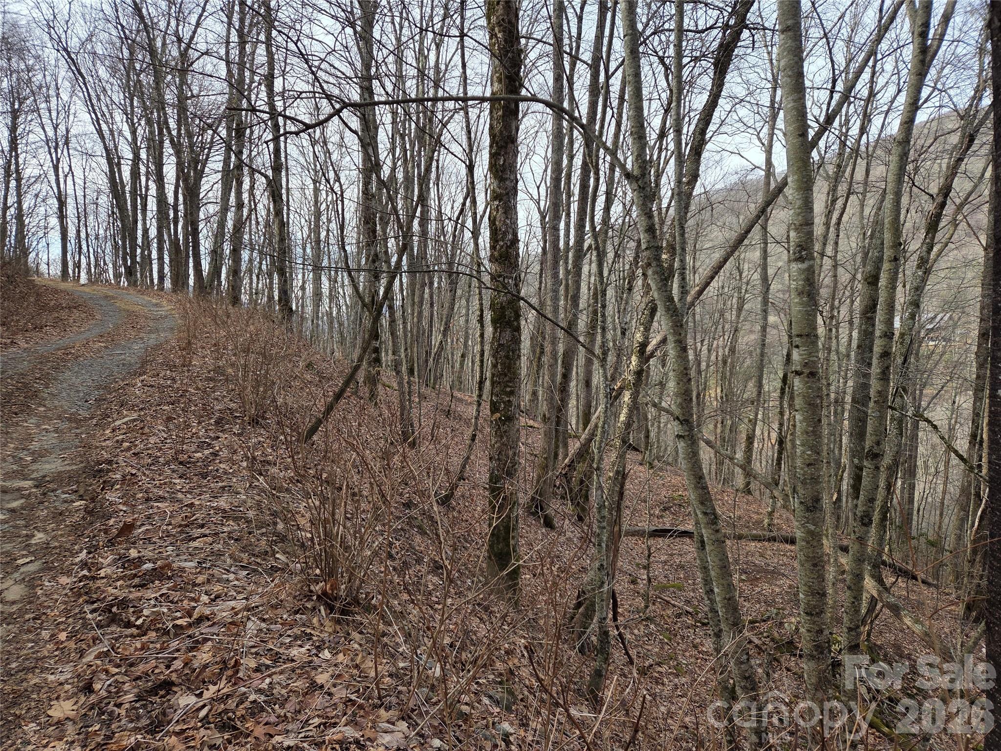 Lot at 180 Goat House Way, Maggie Valley, photo 7 of 17