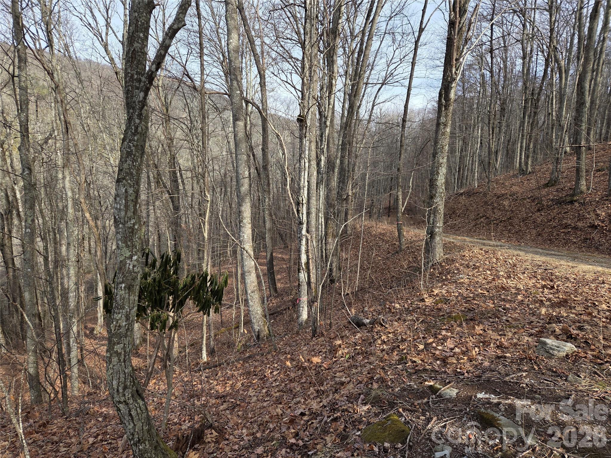Lot at 180 Goat House Way, Maggie Valley, photo 8 of 17