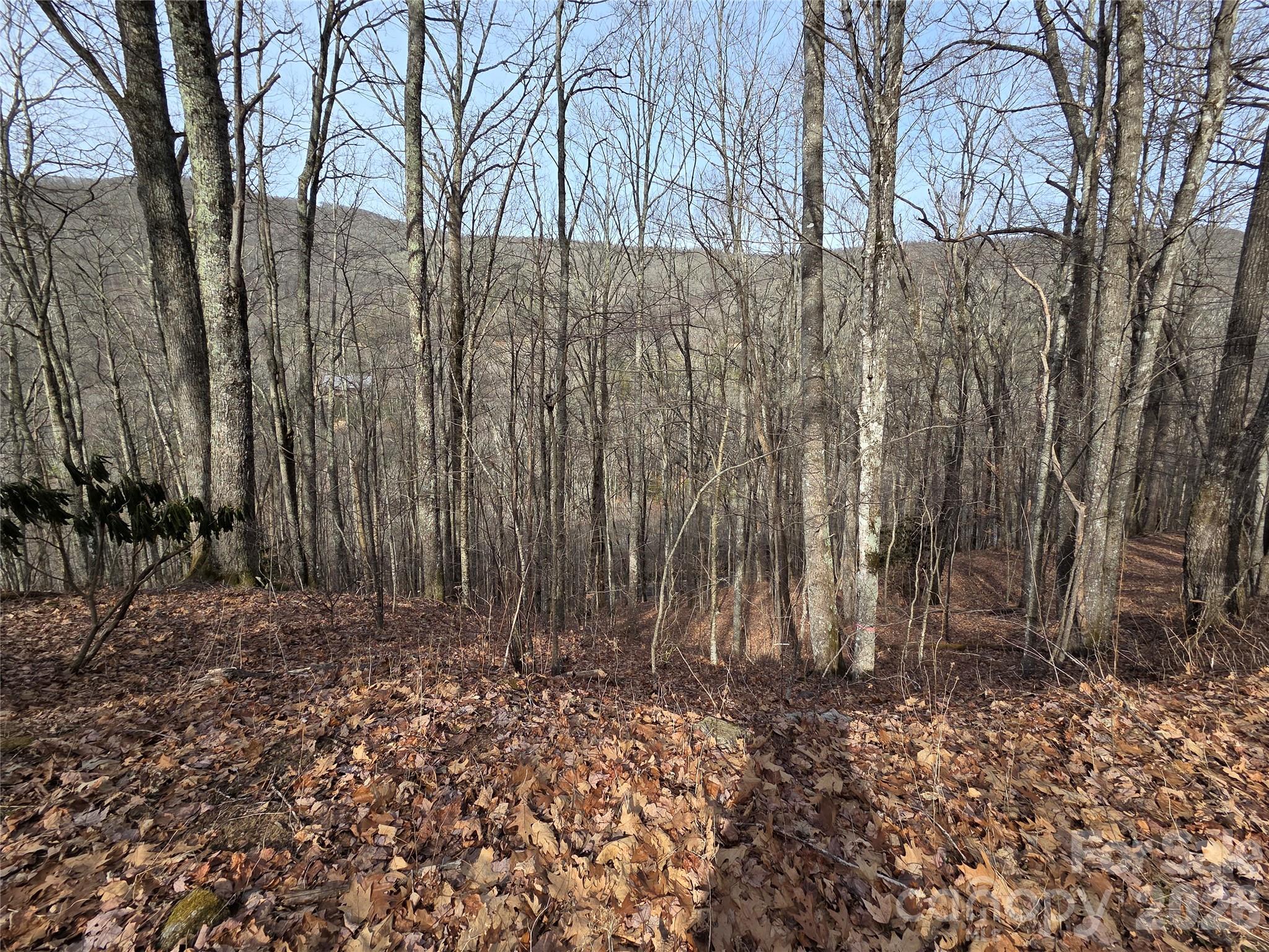 Lot at 180 Goat House Way, Maggie Valley, photo 9 of 17