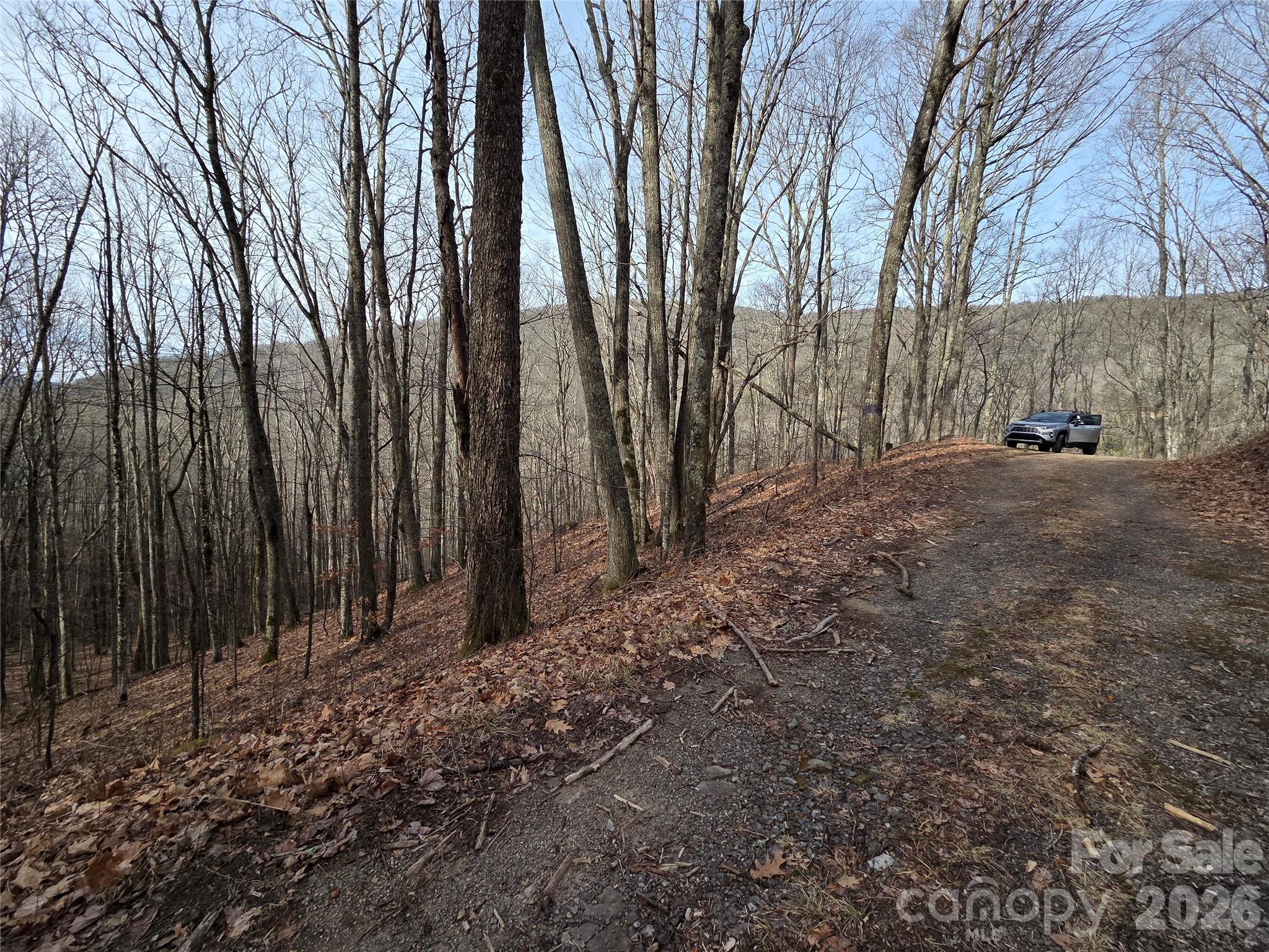 Lot at 180 Goat House Way, Maggie Valley, photo 10 of 17