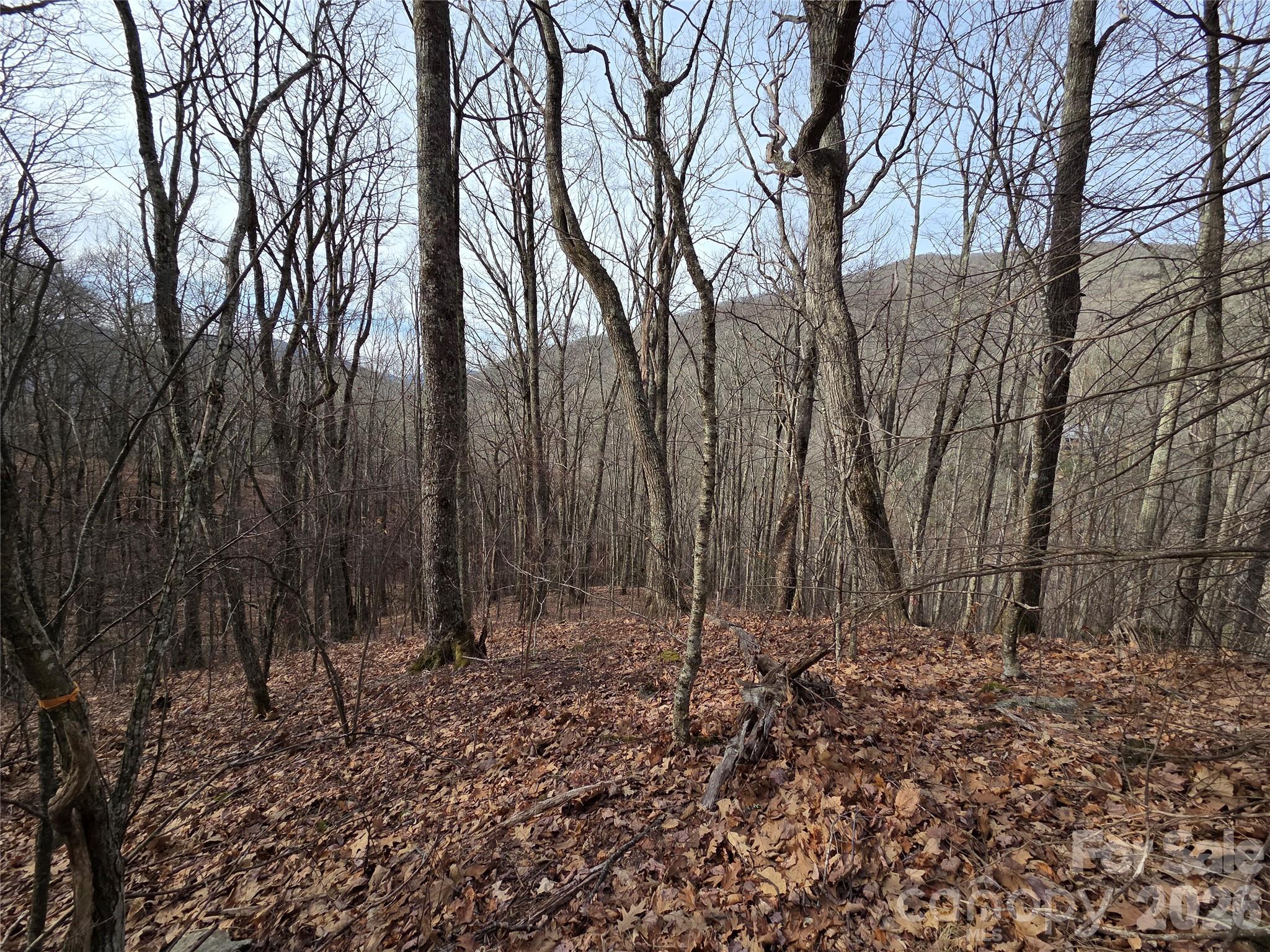 Lot at 180 Goat House Way, Maggie Valley, photo 12 of 17