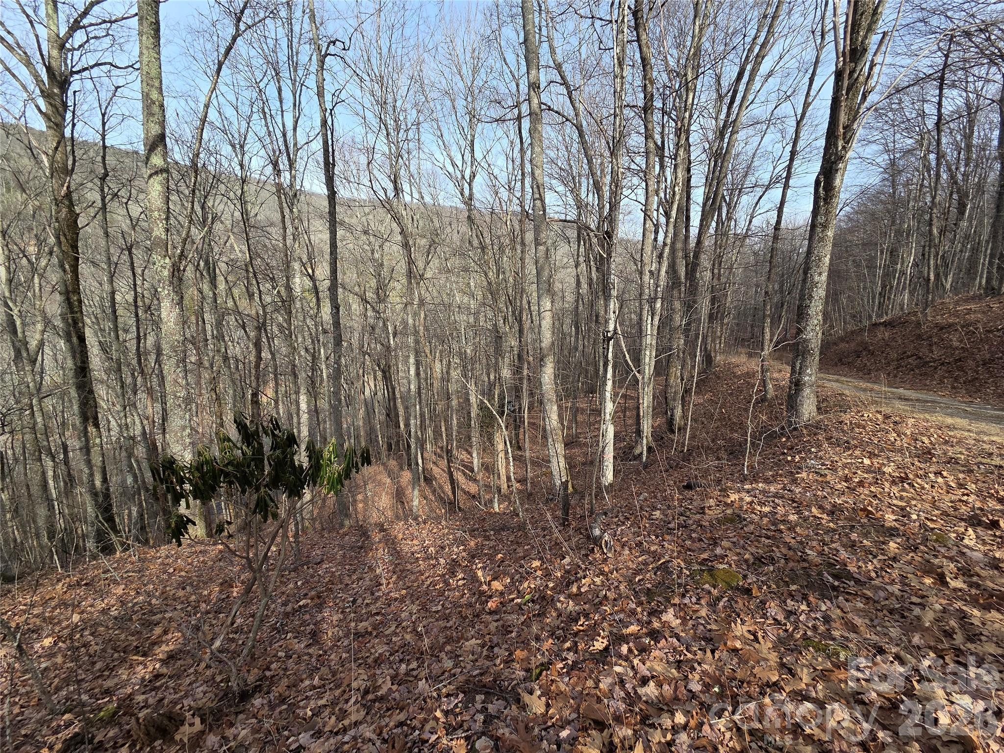 Lot at 180 Goat House Way, Maggie Valley, photo 14 of 17