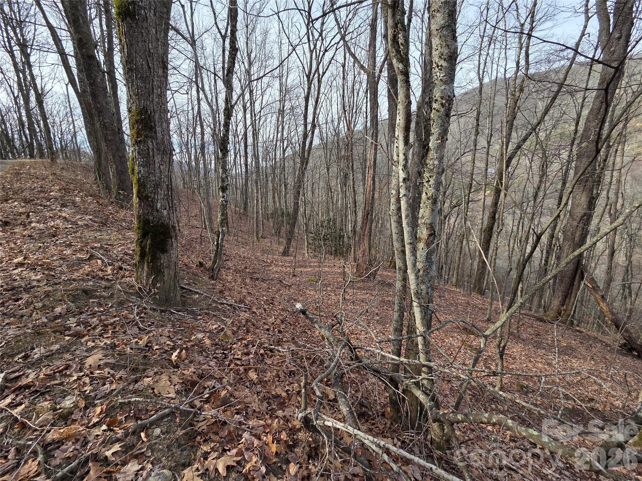 Lot at 180 Goat House Way, Maggie Valley, photo 16 of 17