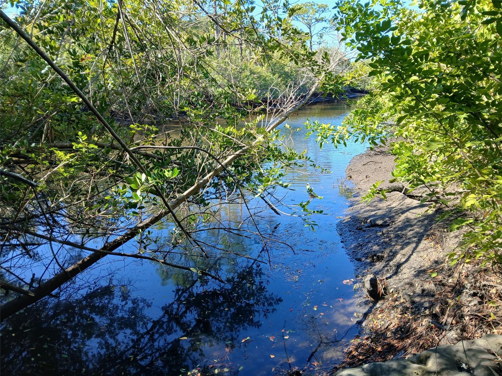 Land at 13493 MARKHAM AVE, PORT CHARLOTTE, photo 3 of 26
