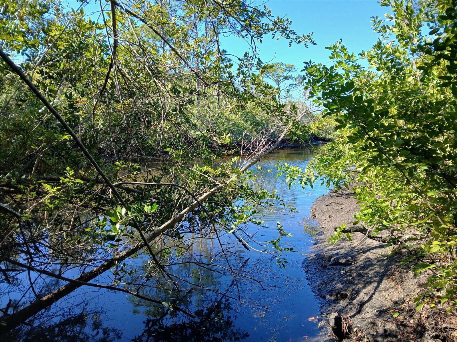Land at 13493 MARKHAM AVE, PORT CHARLOTTE, photo 4 of 26