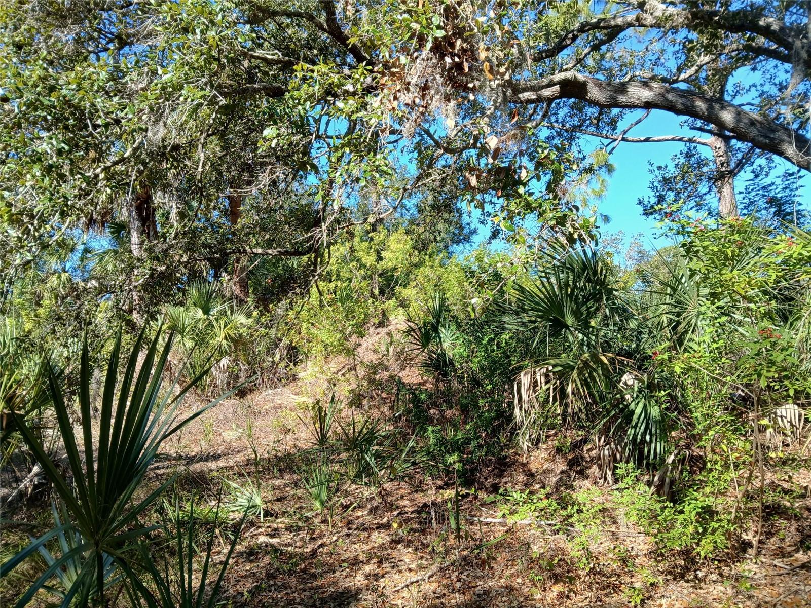 Land at 13493 MARKHAM AVE, PORT CHARLOTTE, photo 8 of 26