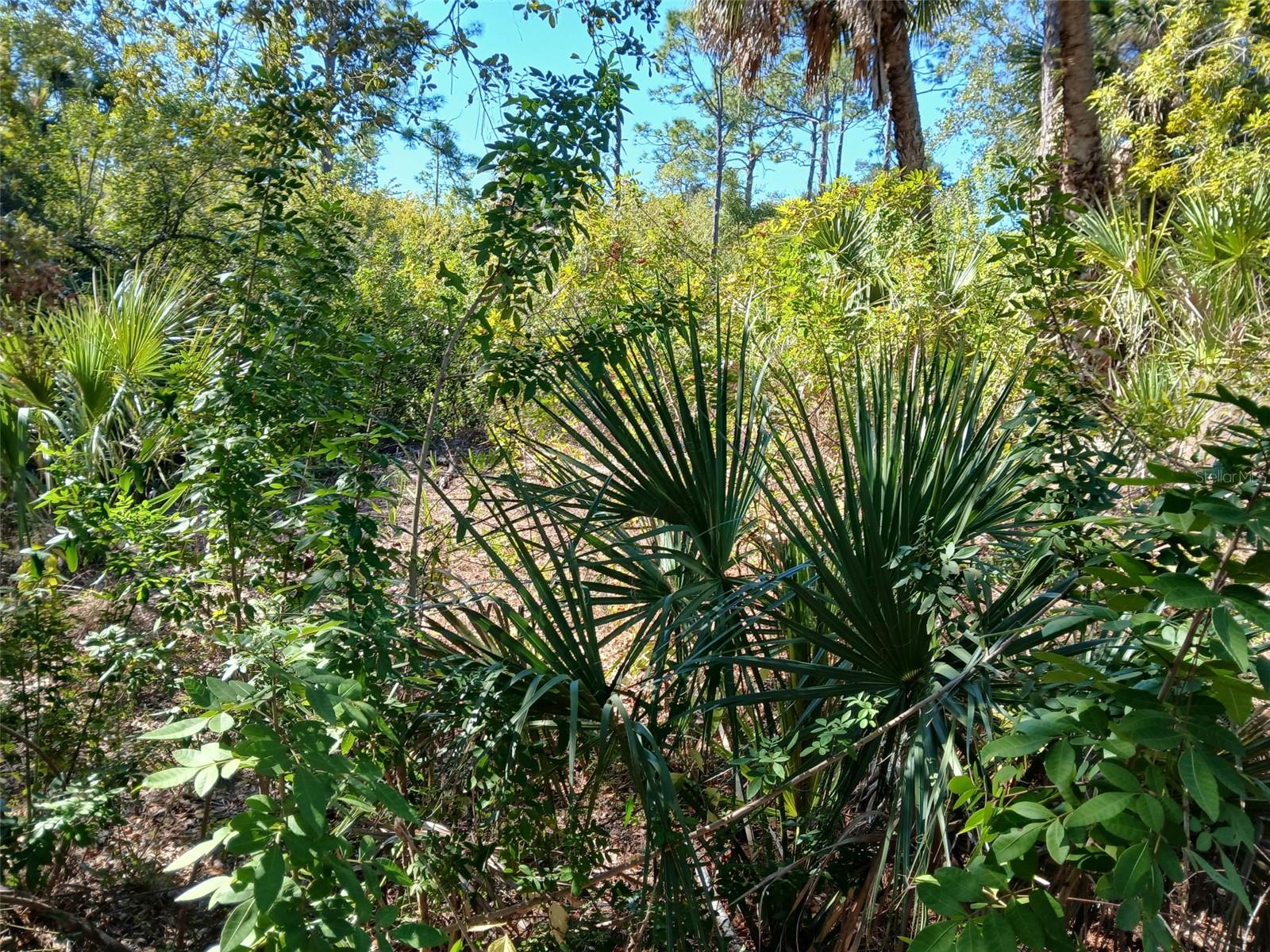 Land at 13493 MARKHAM AVE, PORT CHARLOTTE, photo 9 of 26