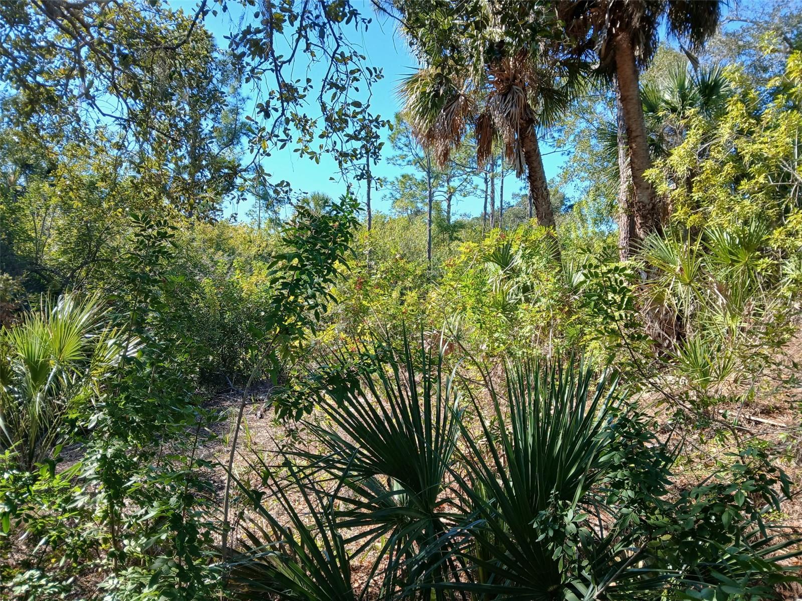 Land at 13493 MARKHAM AVE, PORT CHARLOTTE, photo 10 of 26
