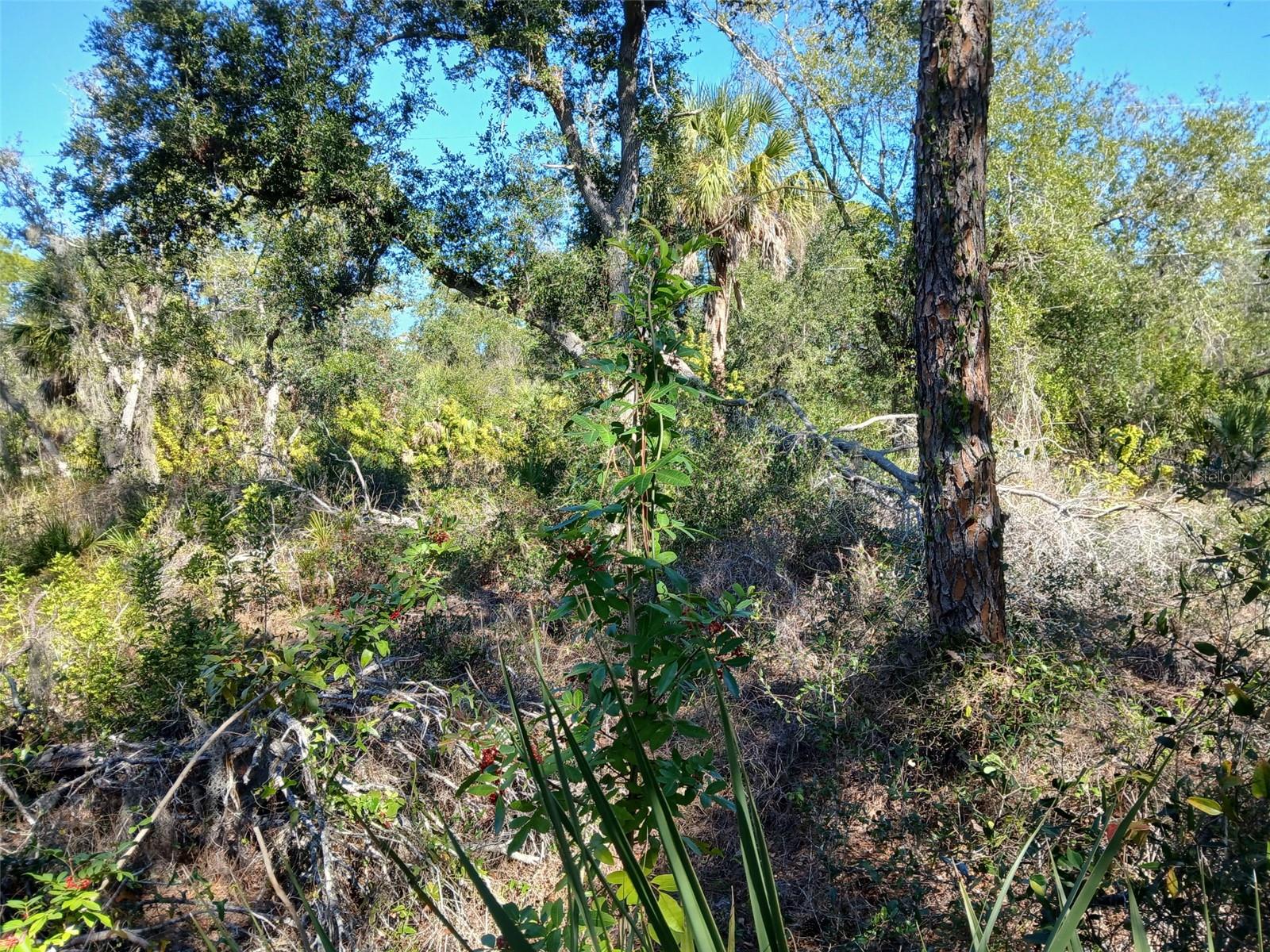Land at 13493 MARKHAM AVE, PORT CHARLOTTE, photo 11 of 26