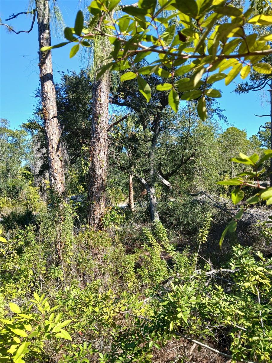 Land at 13493 MARKHAM AVE, PORT CHARLOTTE, photo 13 of 26