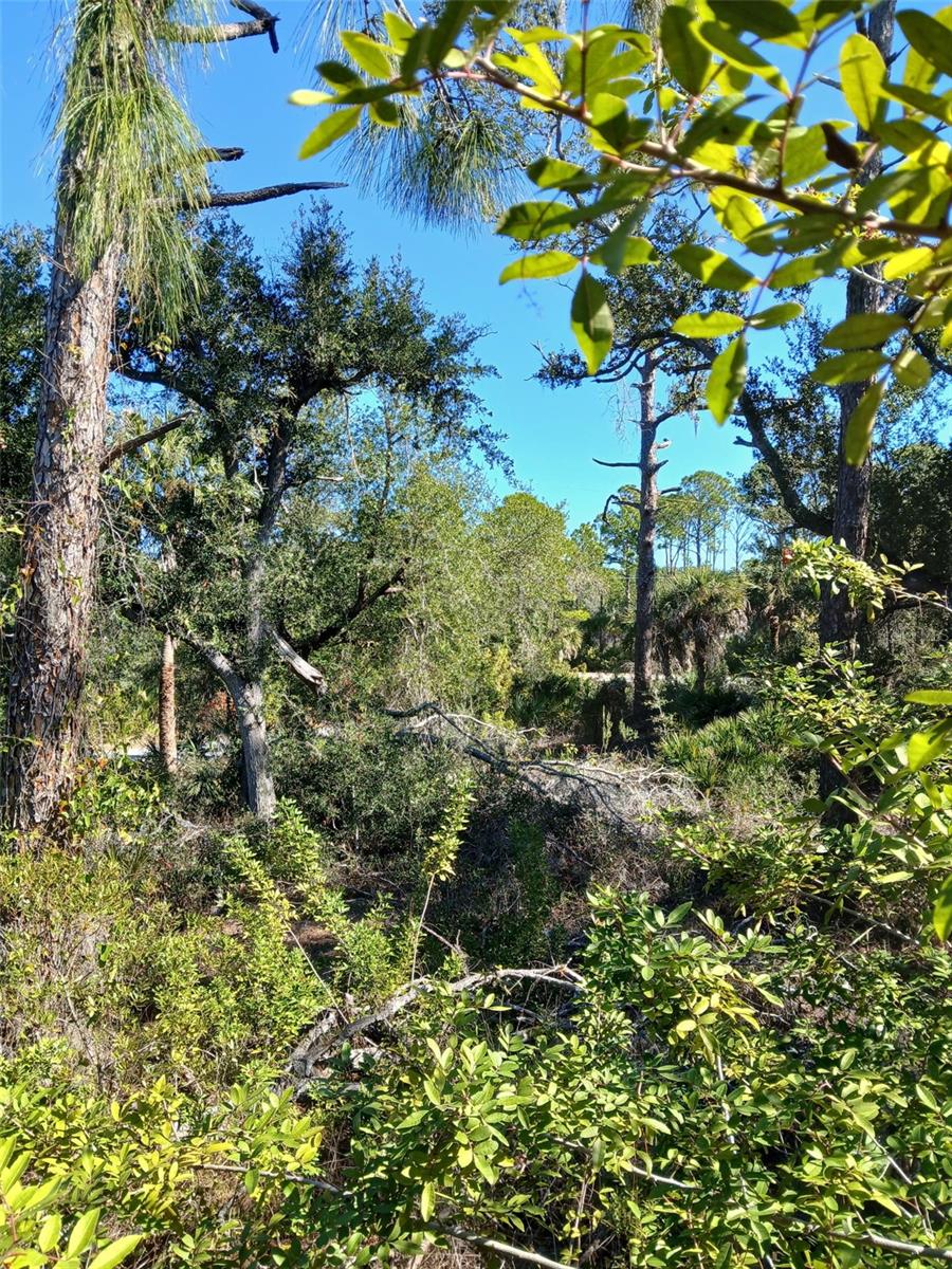Land at 13493 MARKHAM AVE, PORT CHARLOTTE, photo 14 of 26