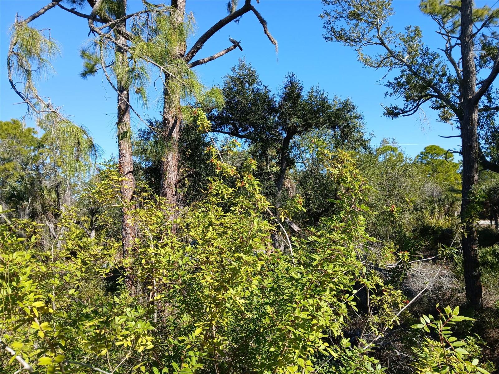Land at 13493 MARKHAM AVE, PORT CHARLOTTE, photo 15 of 26