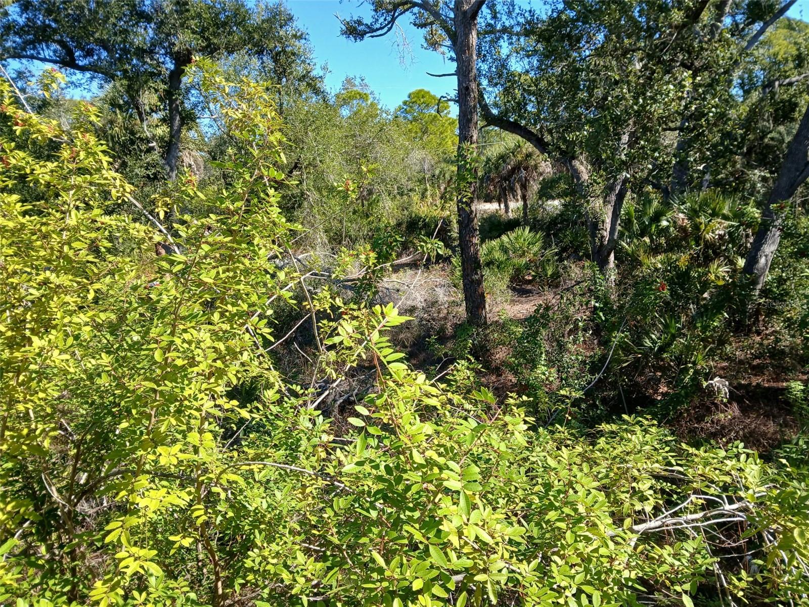 Land at 13493 MARKHAM AVE, PORT CHARLOTTE, photo 17 of 26