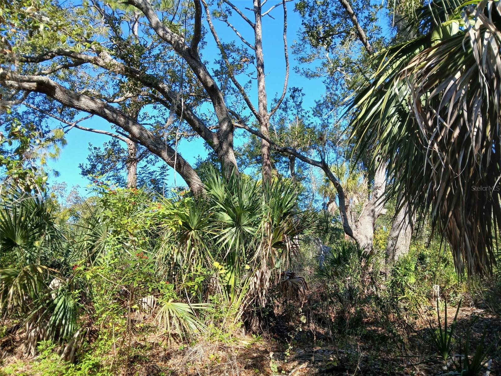 Land at 13493 MARKHAM AVE, PORT CHARLOTTE, photo 18 of 26