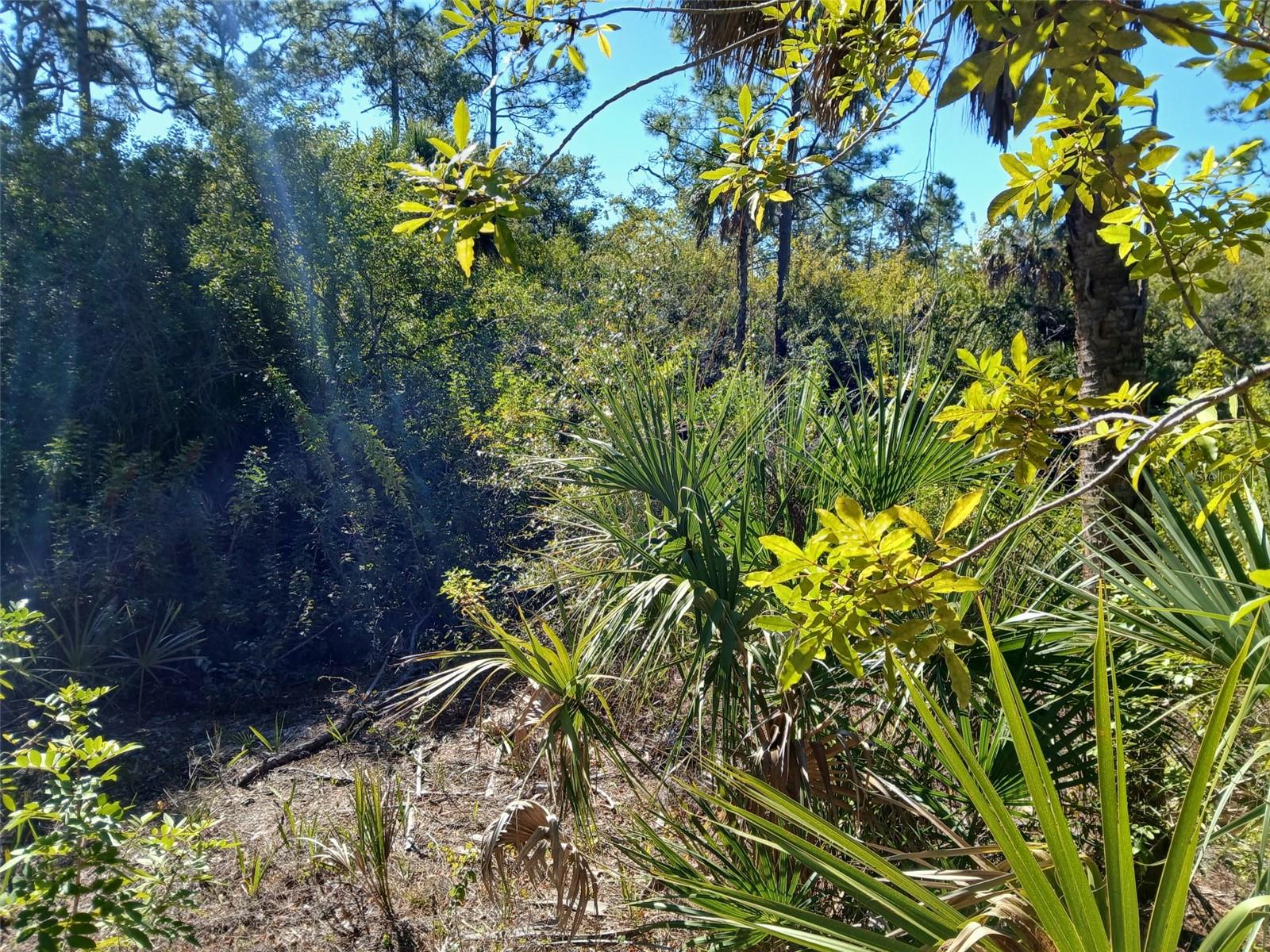 Land at 13493 MARKHAM AVE, PORT CHARLOTTE, photo 19 of 26
