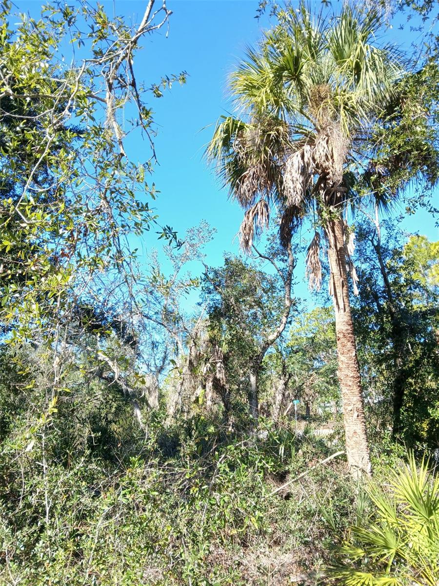 Land at 13493 MARKHAM AVE, PORT CHARLOTTE, photo 21 of 26