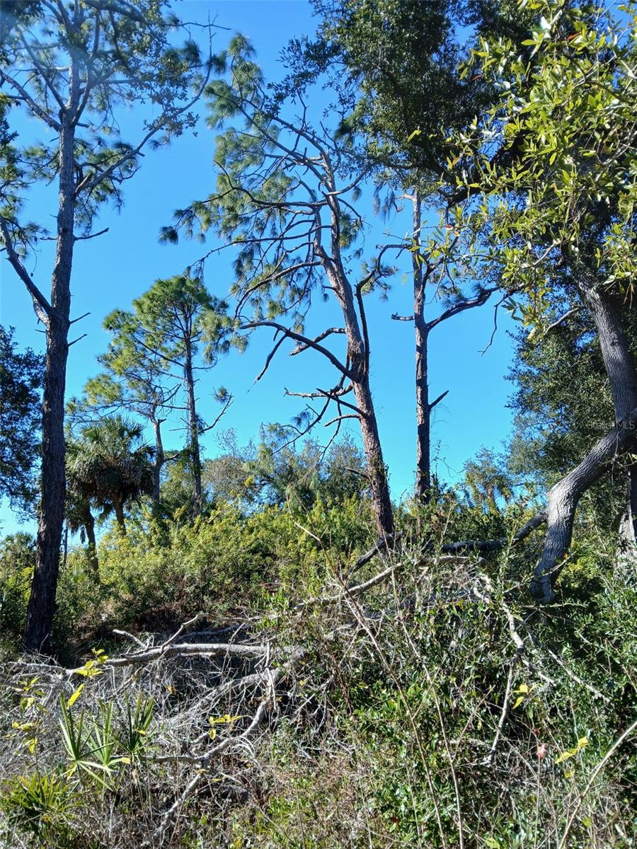 Land at 13493 MARKHAM AVE, PORT CHARLOTTE, photo 22 of 26