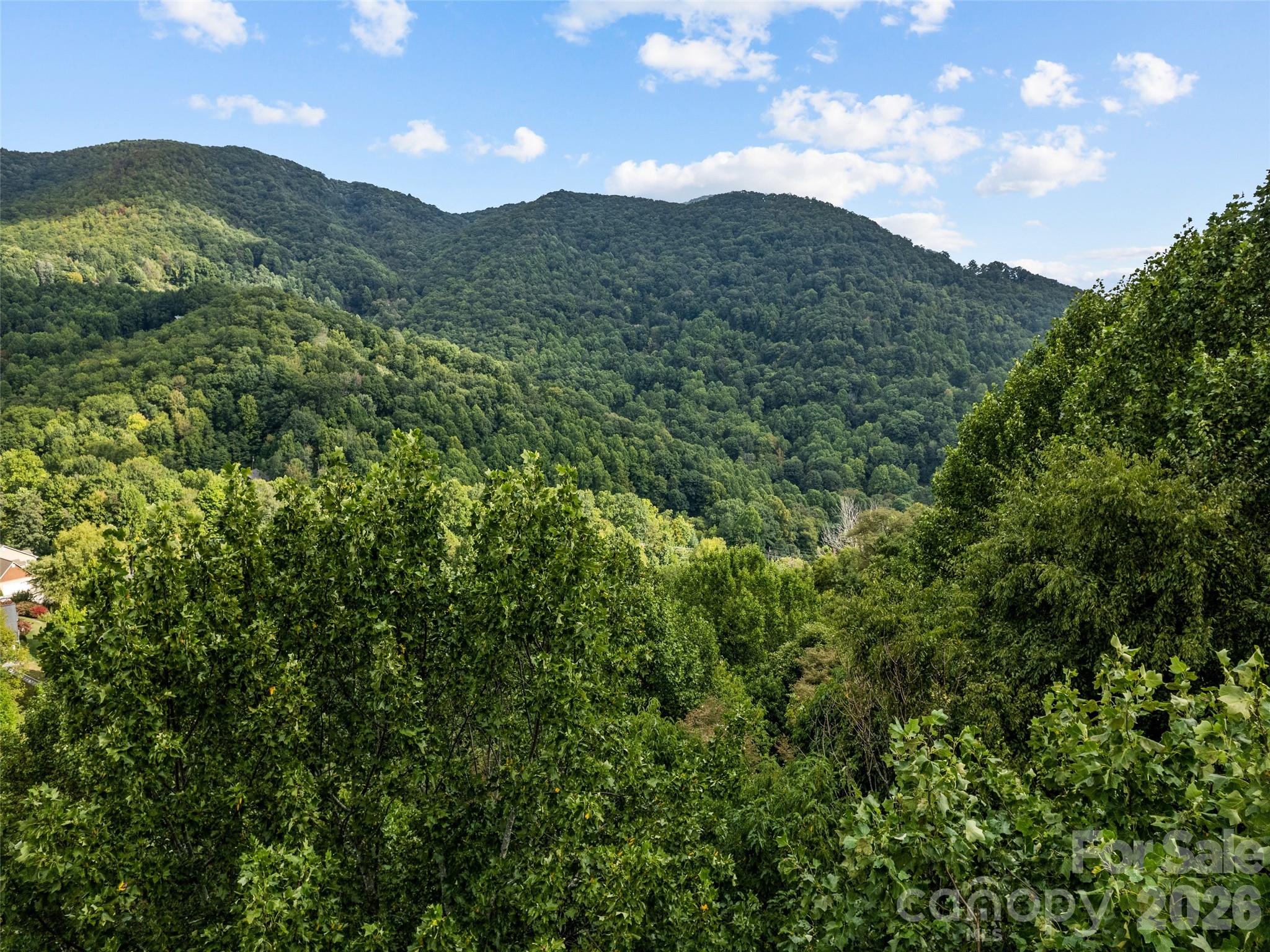 Lot at Lot 12 Bow N Arrow Cove, Waynesville, photo 8 of 9
