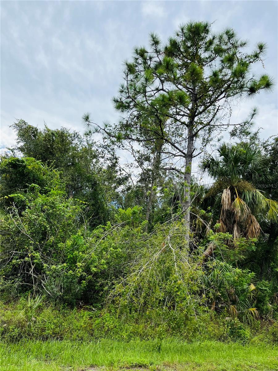 Land at 26145 FLOWER RD, PUNTA GORDA, photo 6 of 7