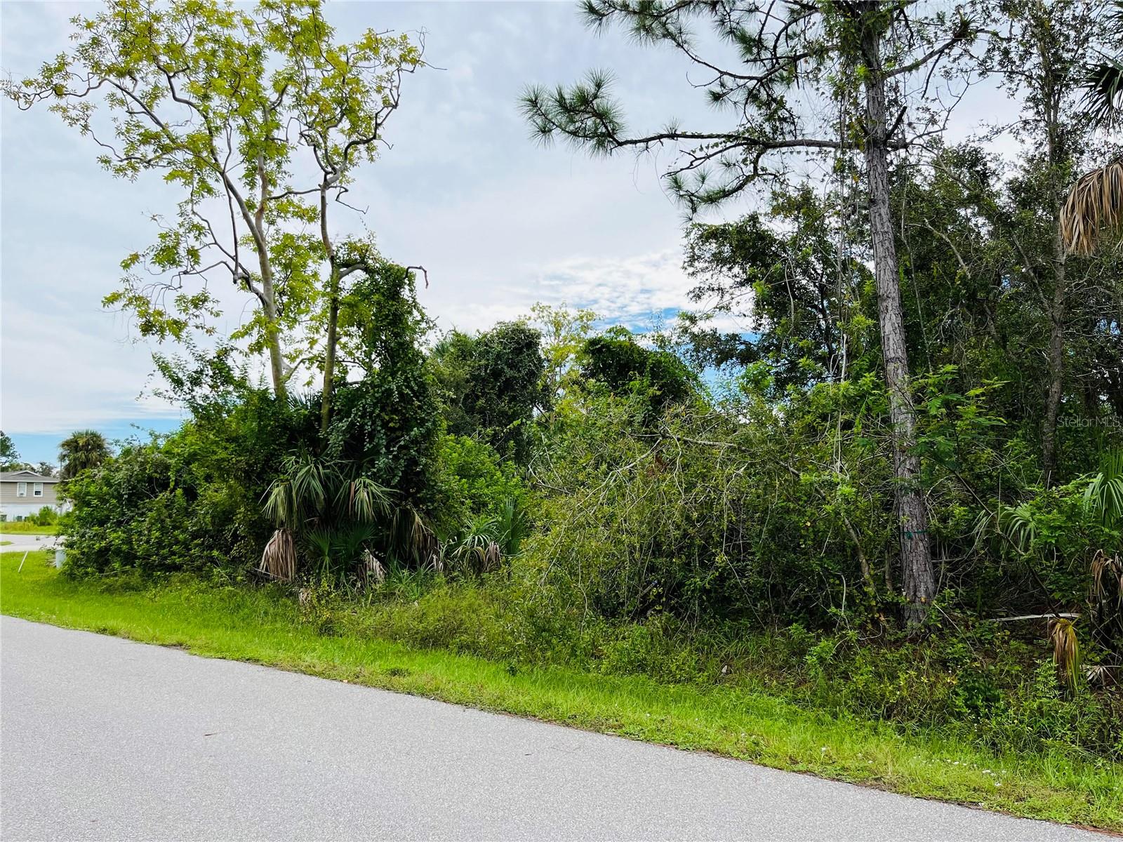 Land at 26153 FLOWER RD, PUNTA GORDA, photo 2 of 6