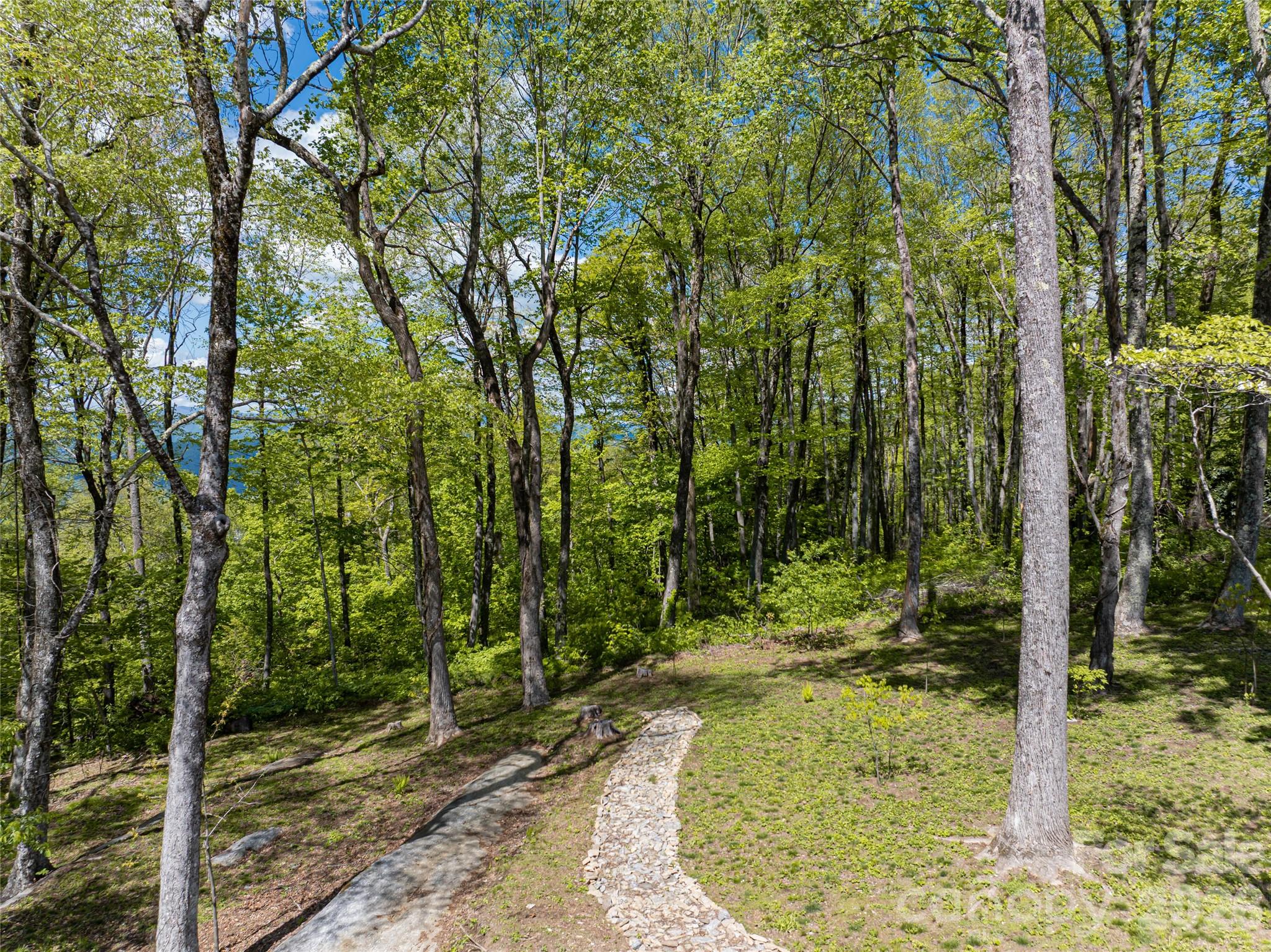 Lot at 000 Laurel Ledge Way, Fletcher, photo 7 of 23